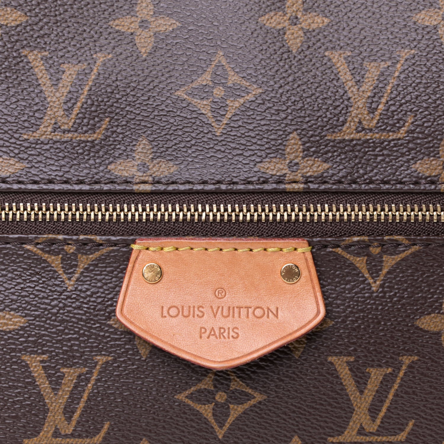 Louis Vuitton Monogram Iena MM 6 of 9