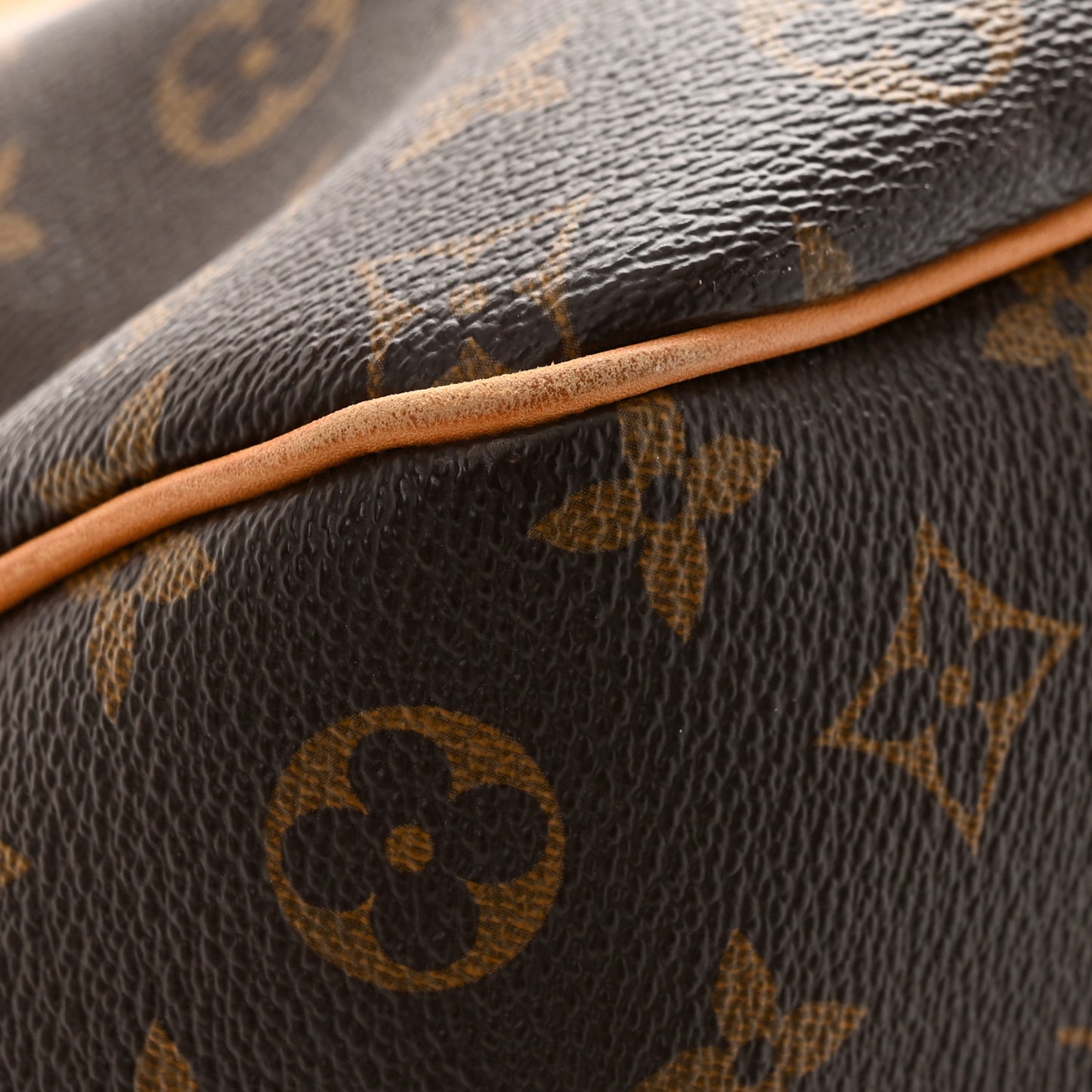 Monogram Delightful PM