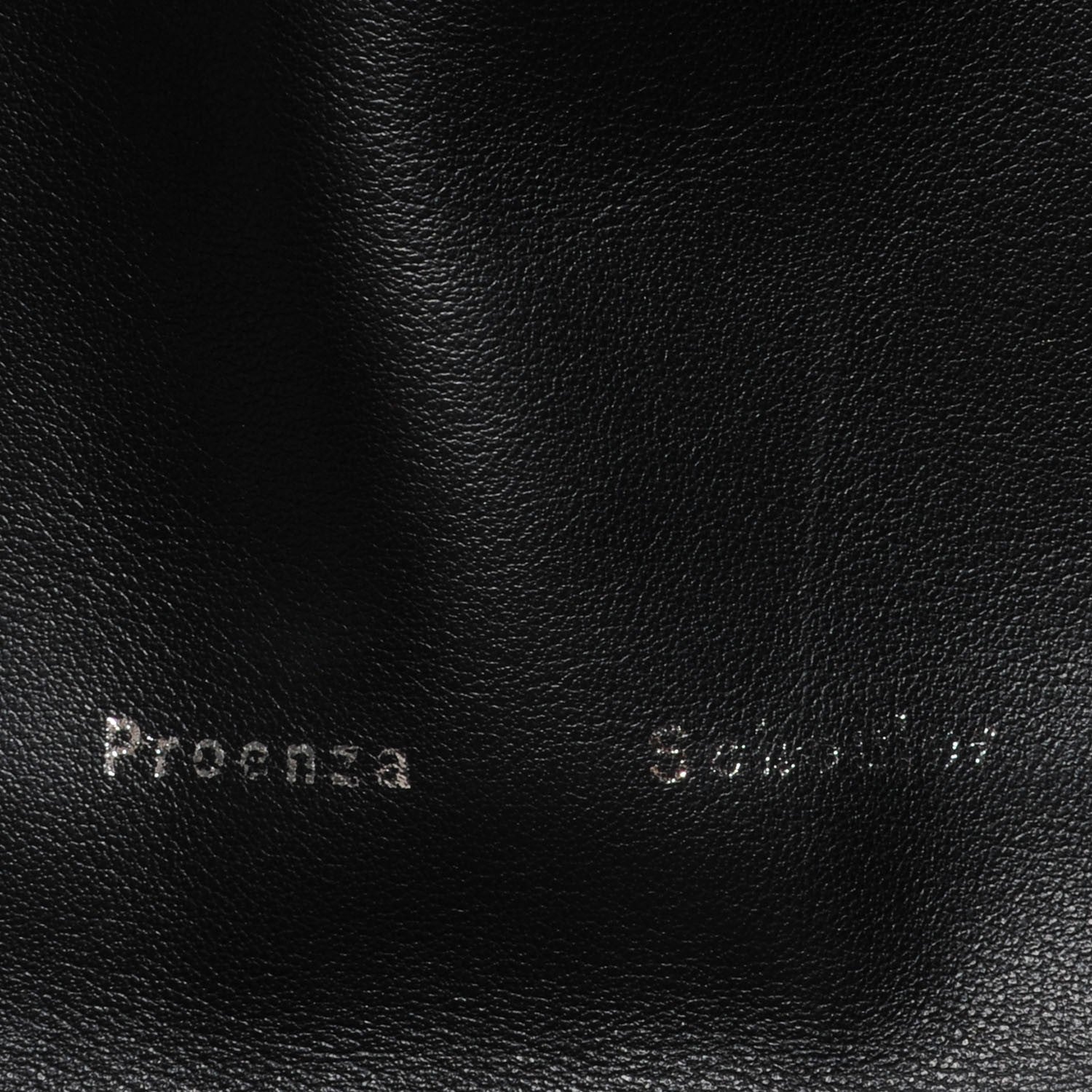 Proenza Schouler Calfskin Large Fringe Lunch Bag Black 9 of 11