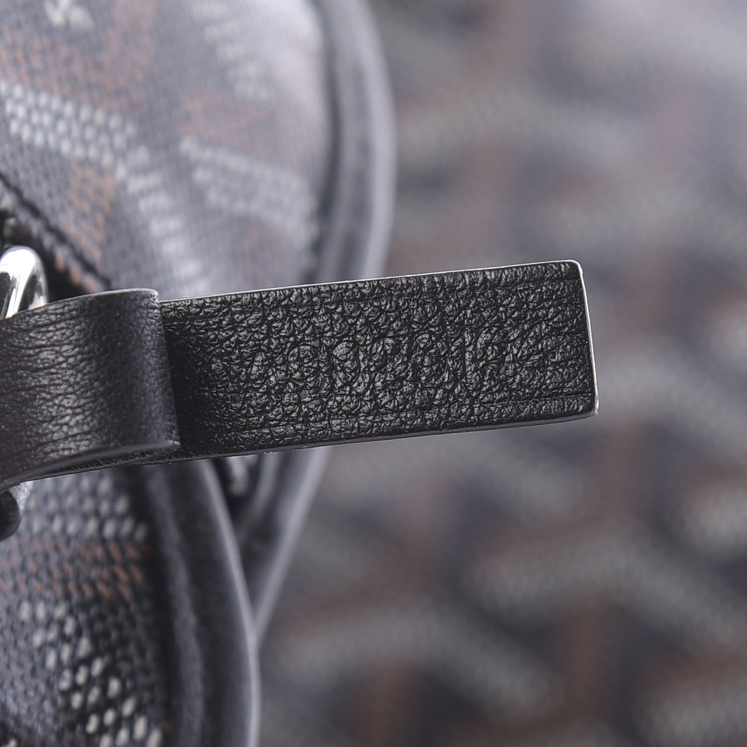 Goyard Goyardine Saint Louis PM Black 10 of 18