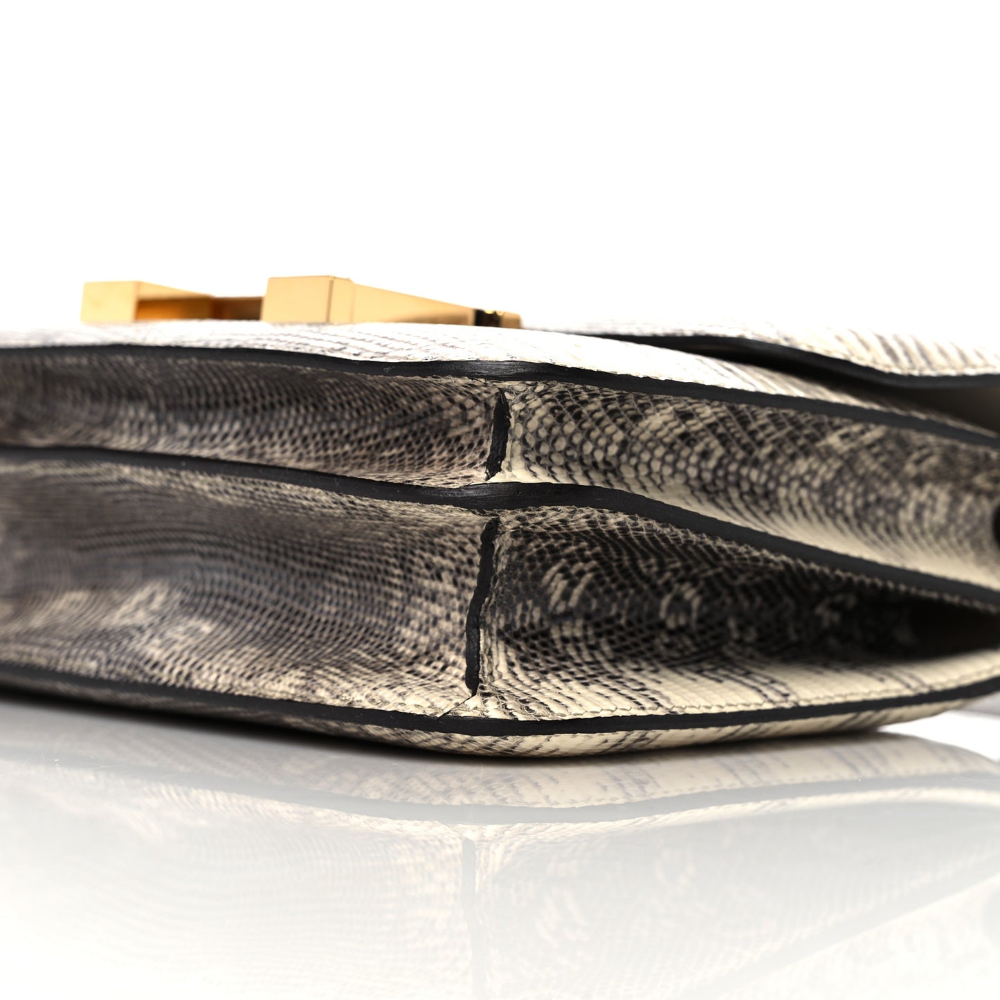 Lizard Constance 18 Ombre