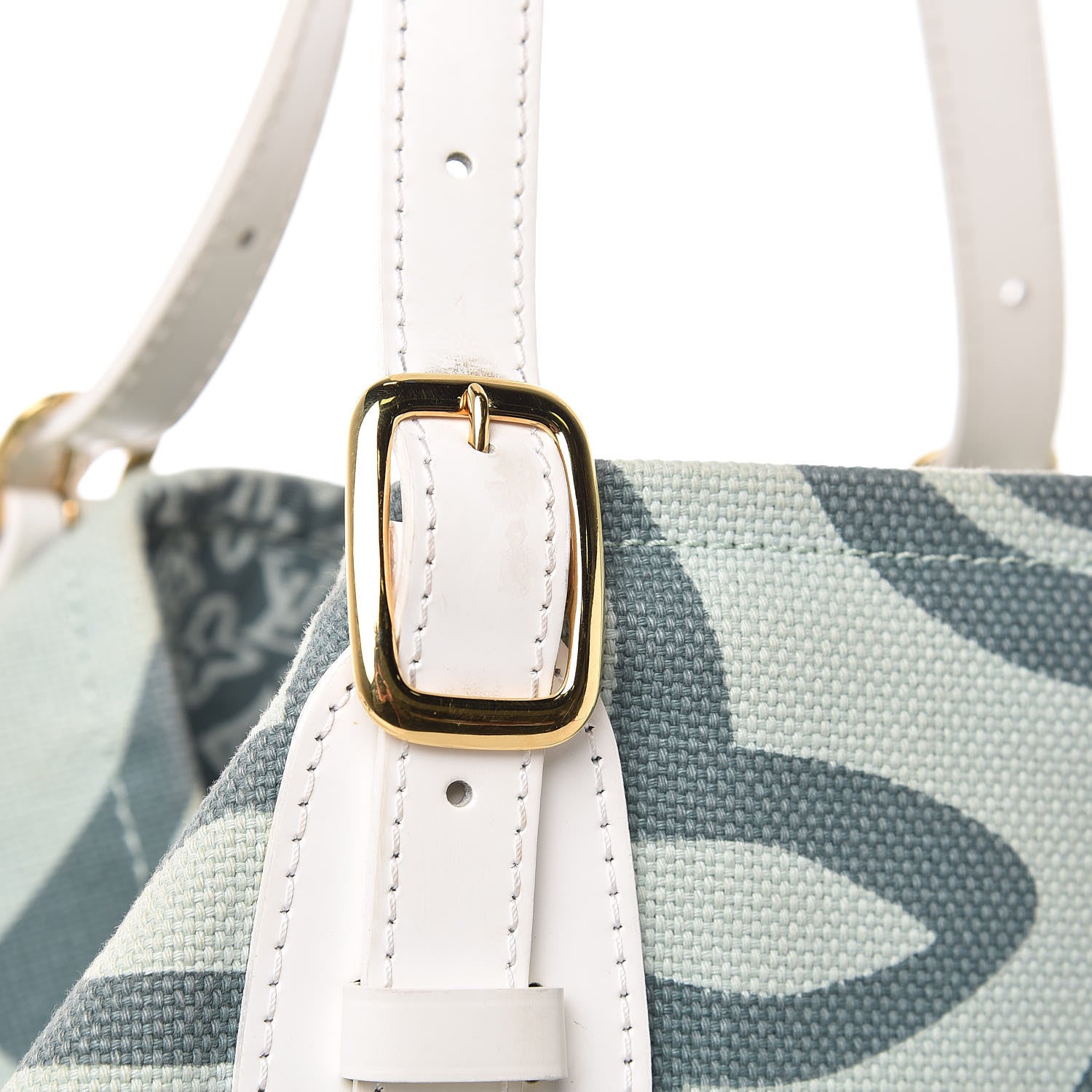 Louis Vuitton Tahitienne Cabas PM Menthe 13 of 13