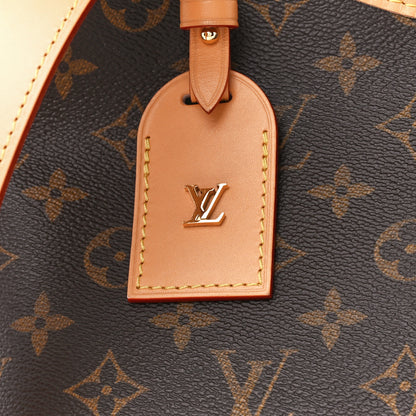 Louis Vuitton Monogram CarryAll PM 9 of 12