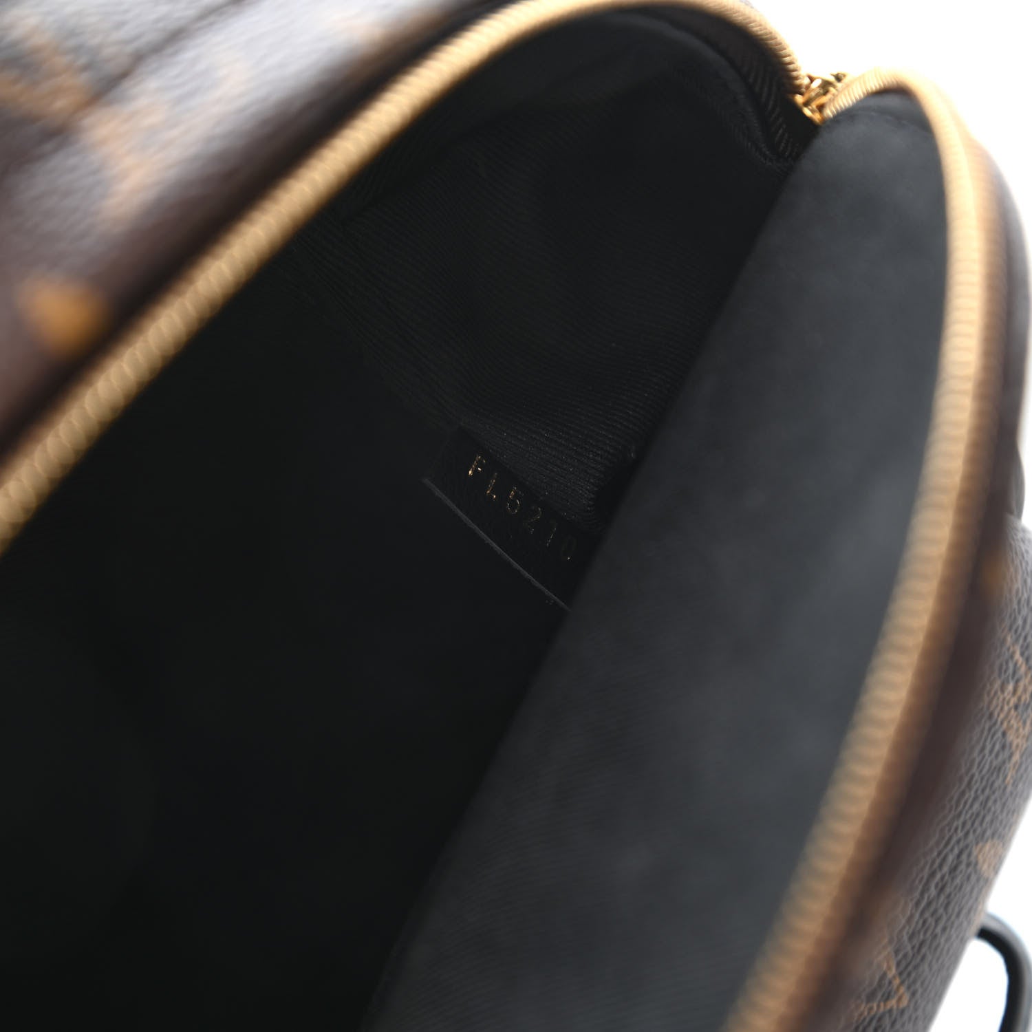 Louis Vuitton Monogram Palm Springs Backpack Mini 9 of 11