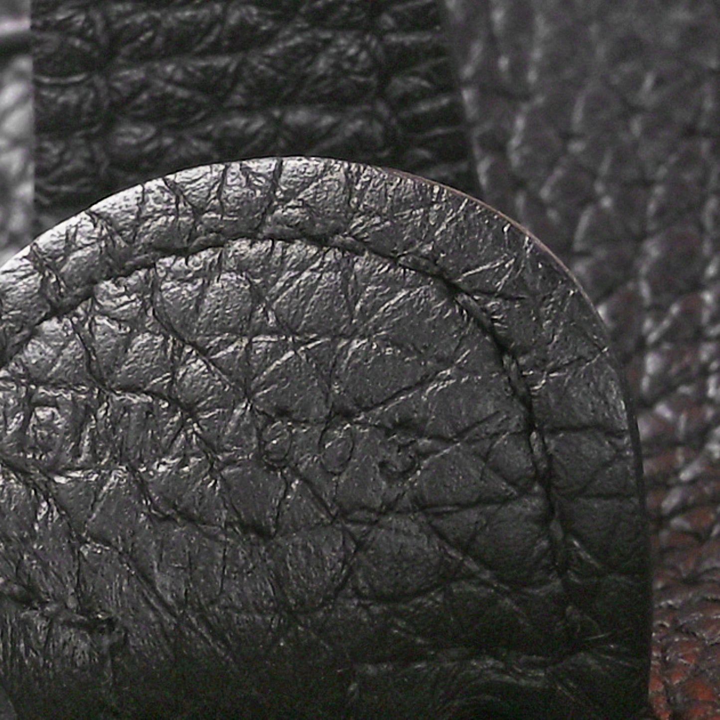 Taurillon Clemence EVELYNE III PM Black