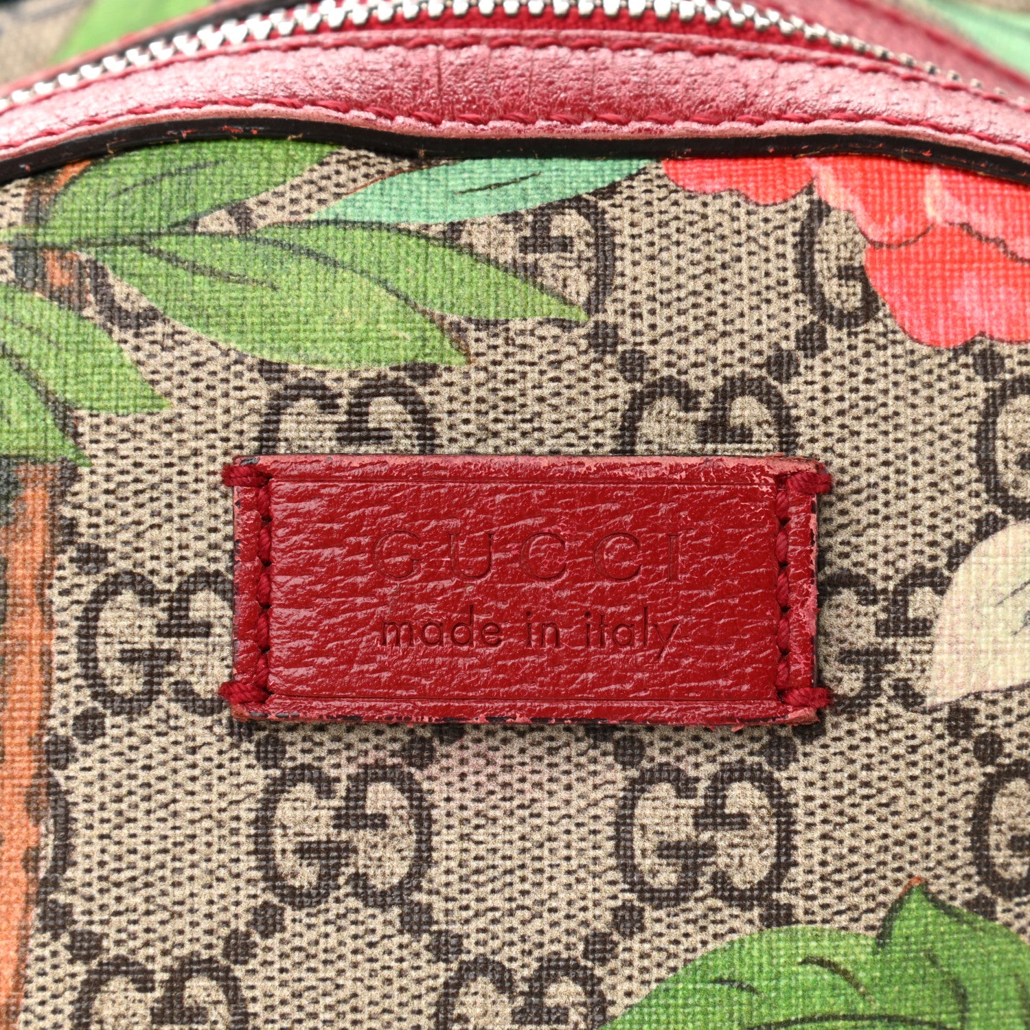 Gucci GG Supreme Monogram Tian Web Small Day Backpack Beige Multicolor Red 8 of 14