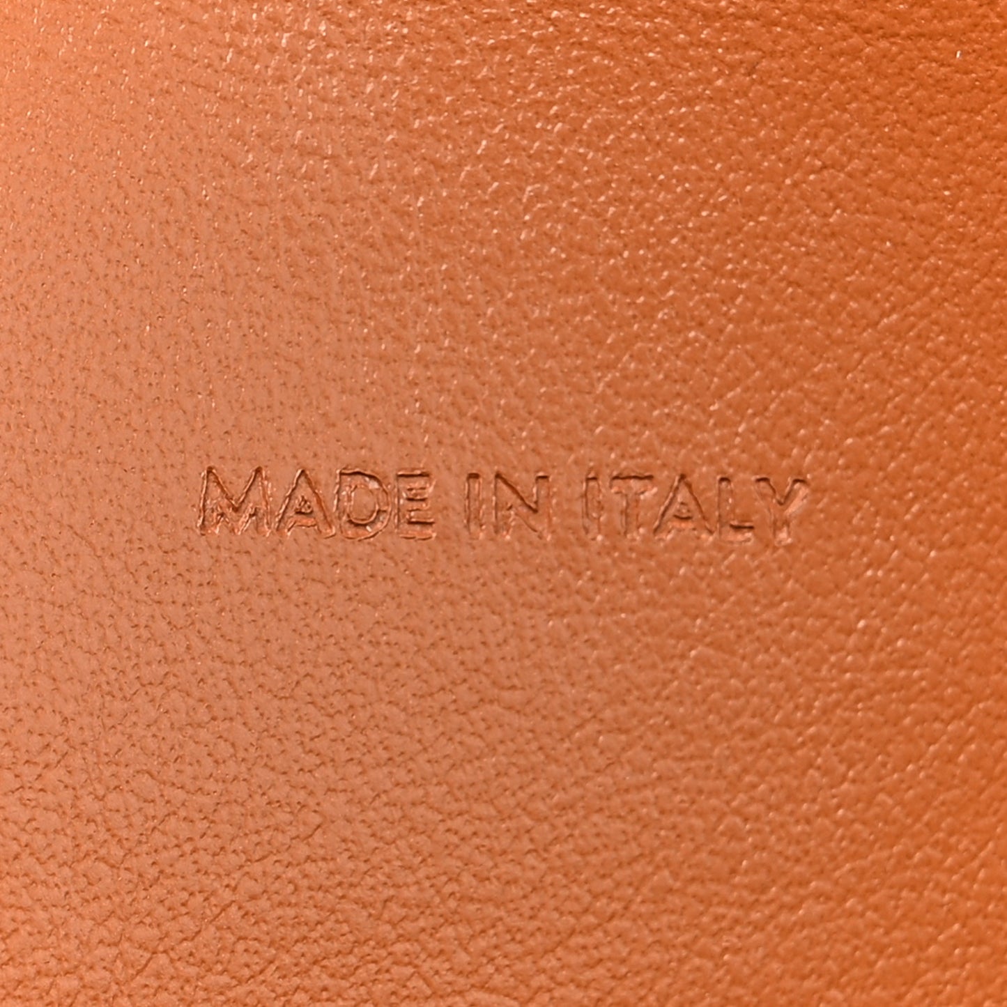 Triomphe Canvas Lambskin Wallet On Strap Tan