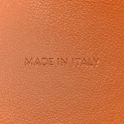 Celine Triomphe Canvas Lambskin Wallet On Strap Tan 8 of 15