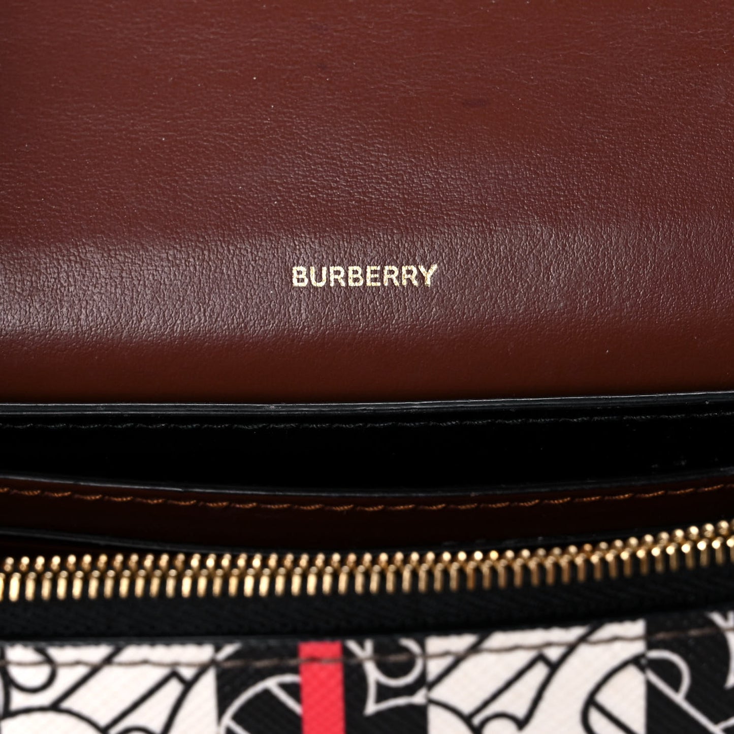 E-Canvas Monogram Stripe Hackberry Crossbody Bag Bridle Brown