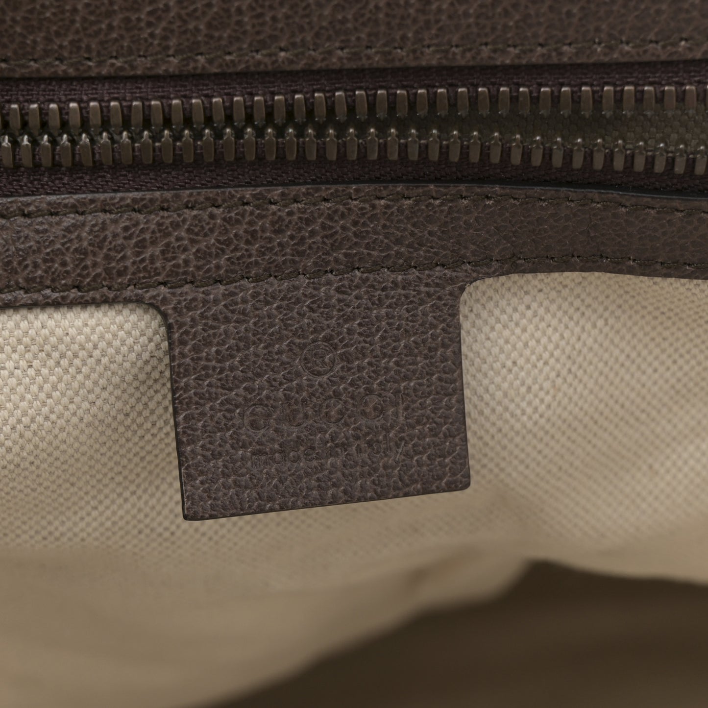GG Supreme Monogram Web Ophidia Half Moon Hobo Brown