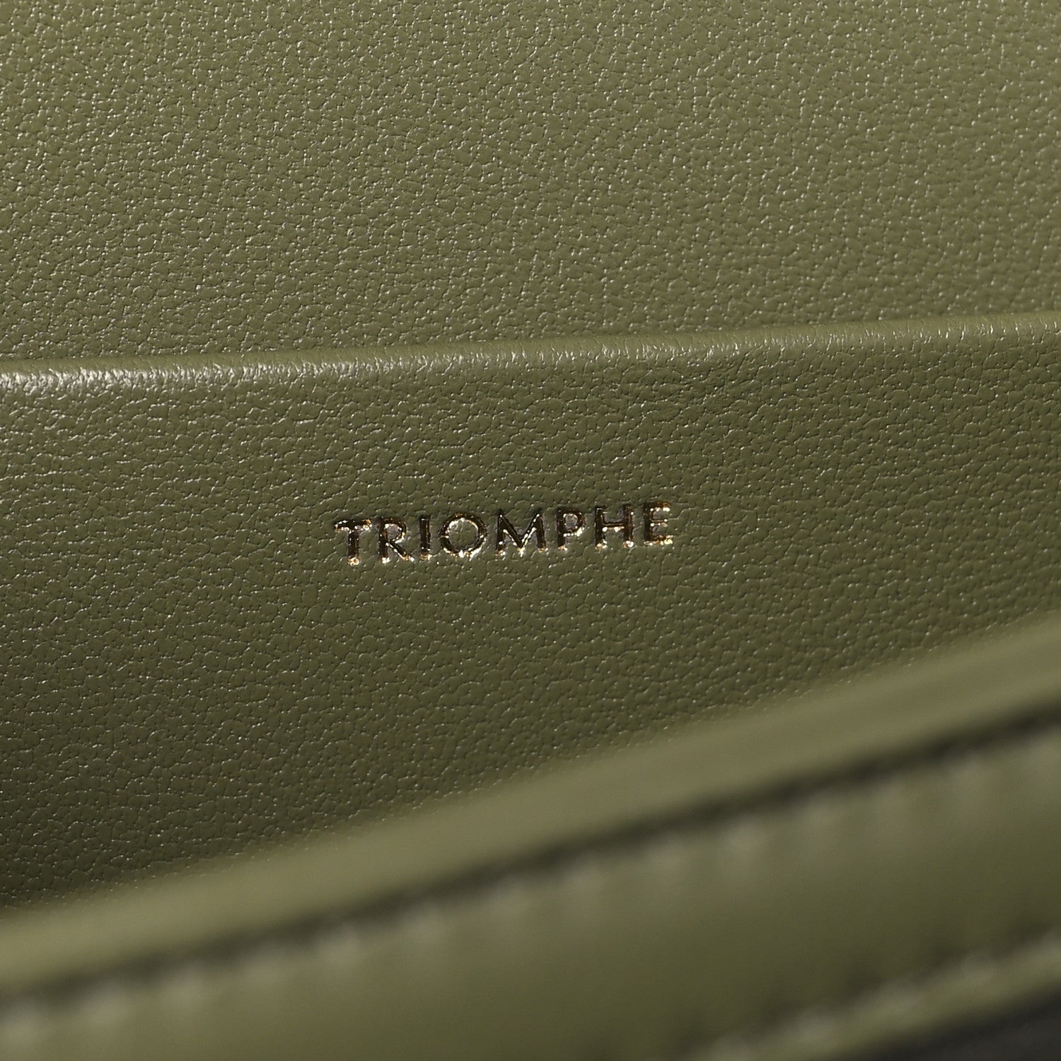 Celine Shiny Calfskin Medium Triomphe Soft Khaki 7 of 11