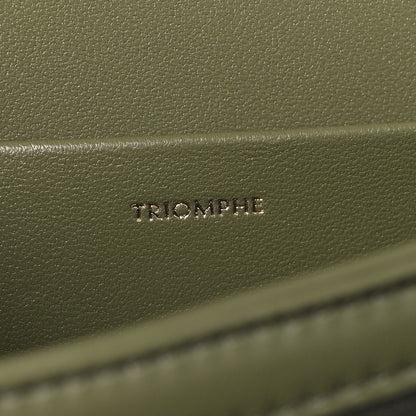 Celine Shiny Calfskin Medium Triomphe Soft Khaki 7 of 11