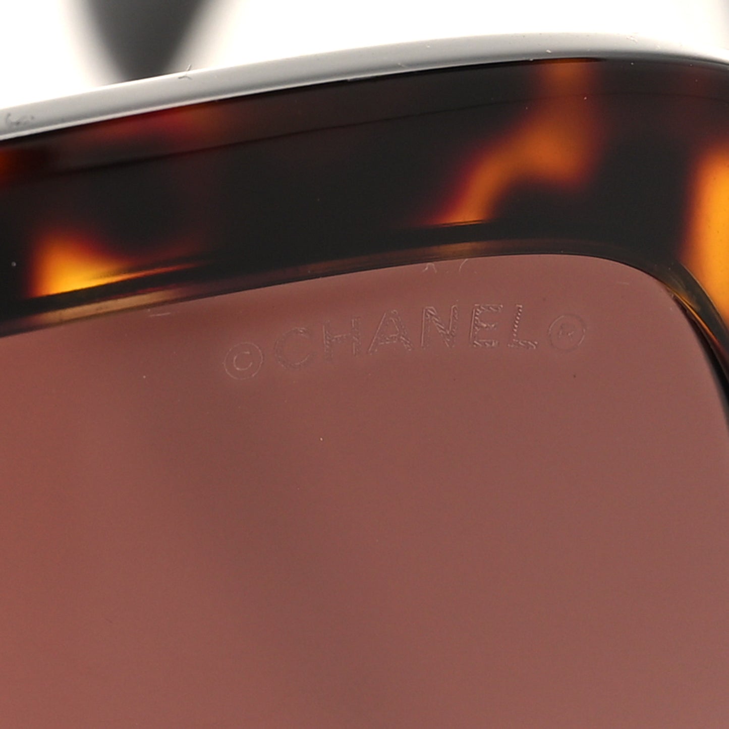 Acetate Square Strass CC Sunglasses 5479-A Tortoise