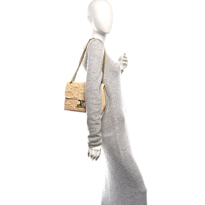 Celine Raffia Triomphe Medium Victoire Natural 2 of 9