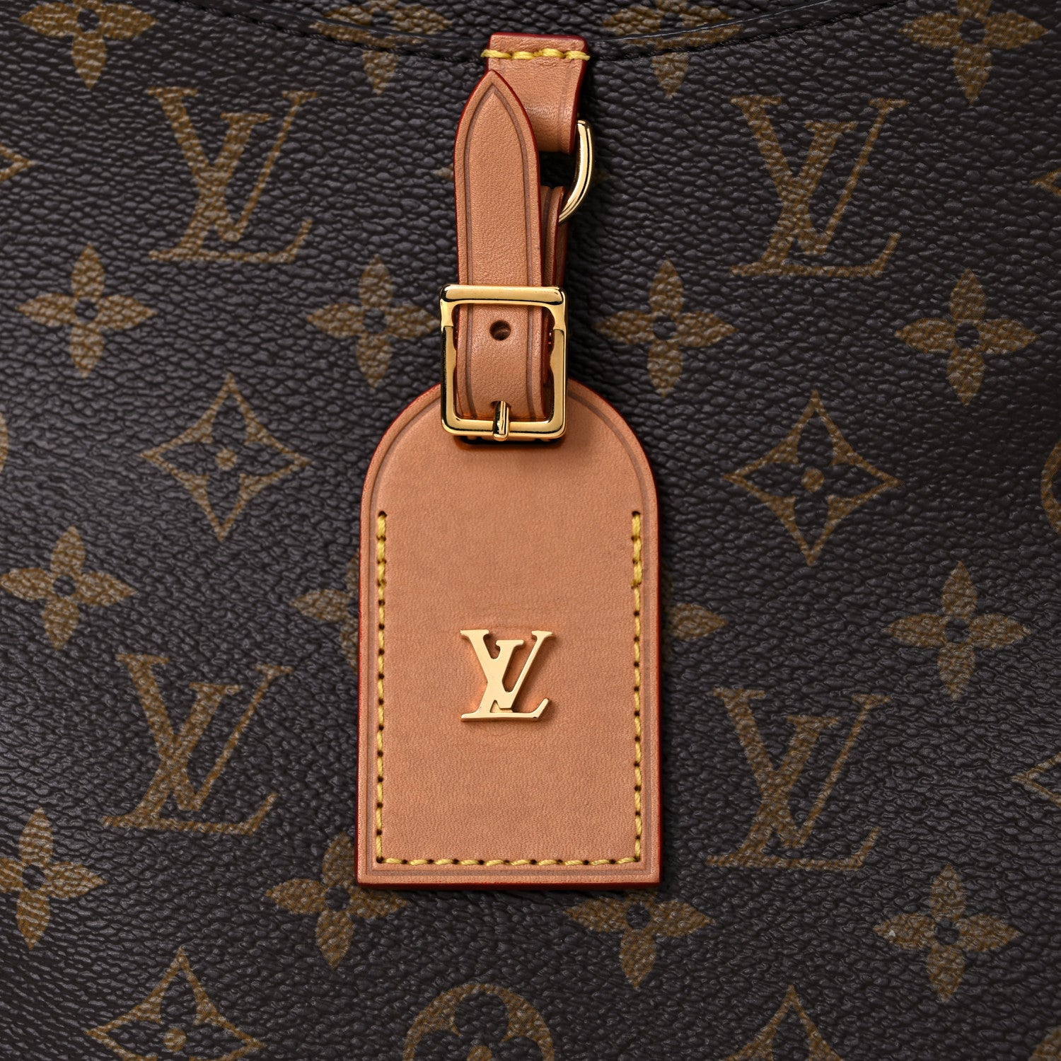 Louis Vuitton Monogram Odeon MM Natural 16 of 20