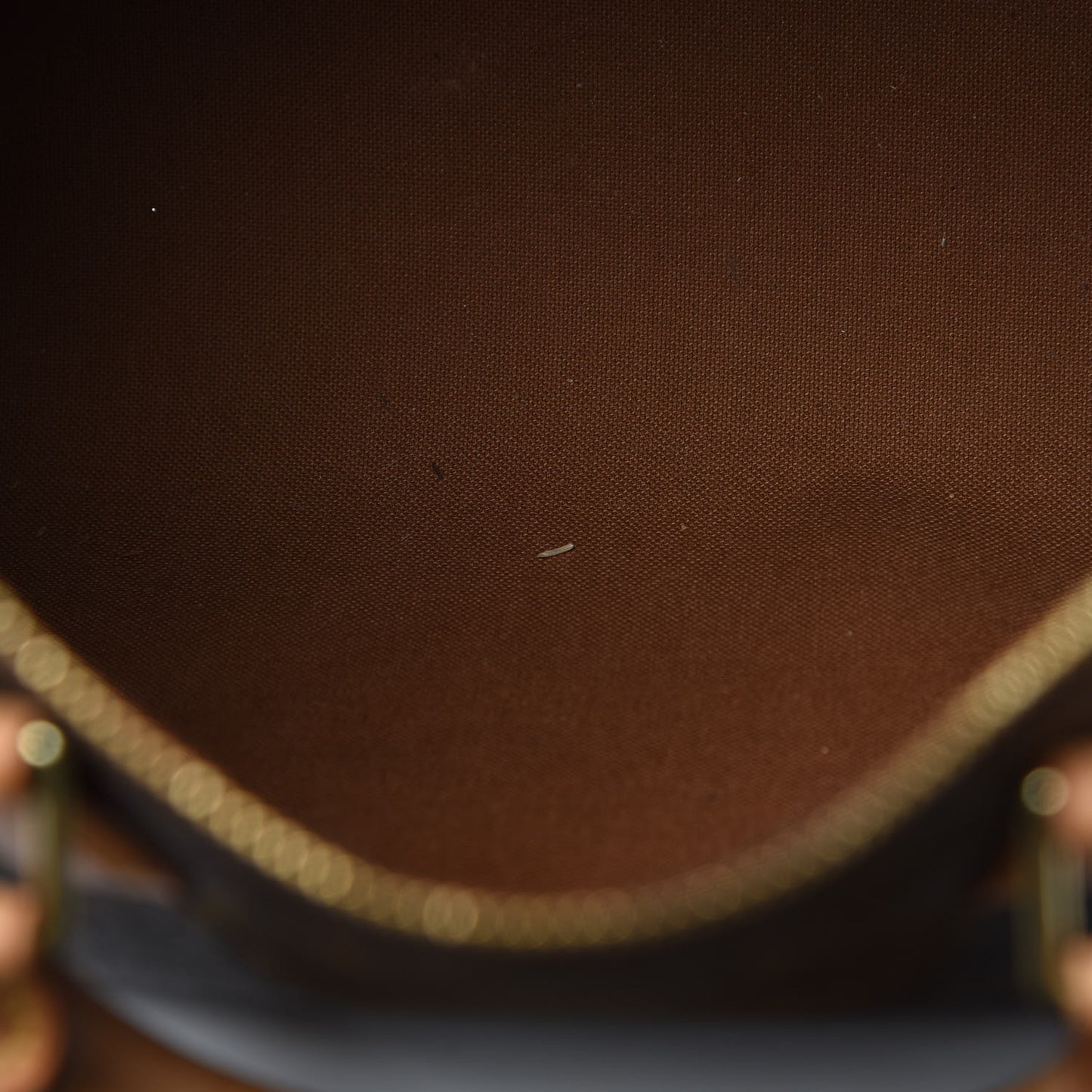 Monogram Speedy Bandouliere 30