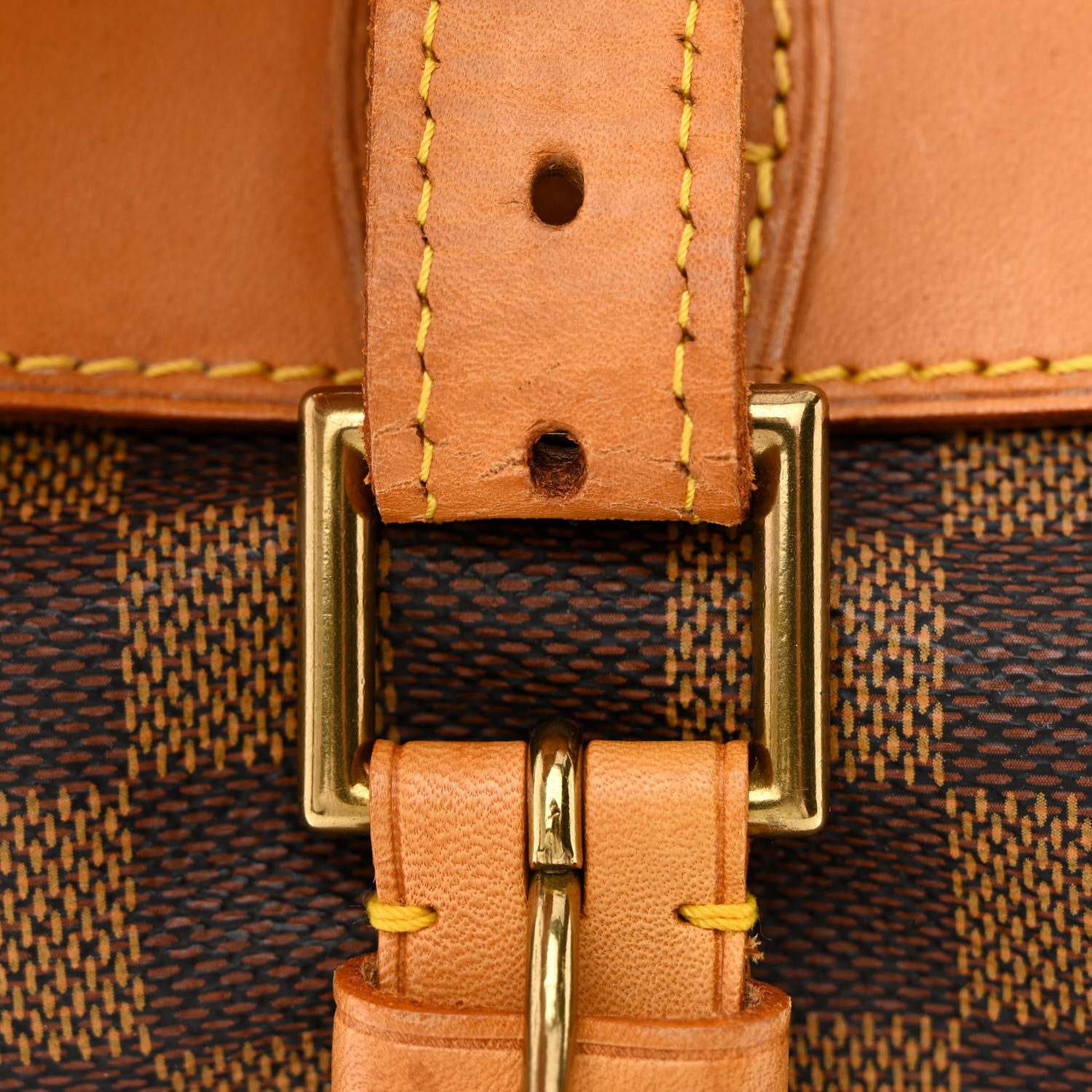 Louis Vuitton Damier Ebene Soho Centenaire Backpack 13 of 14