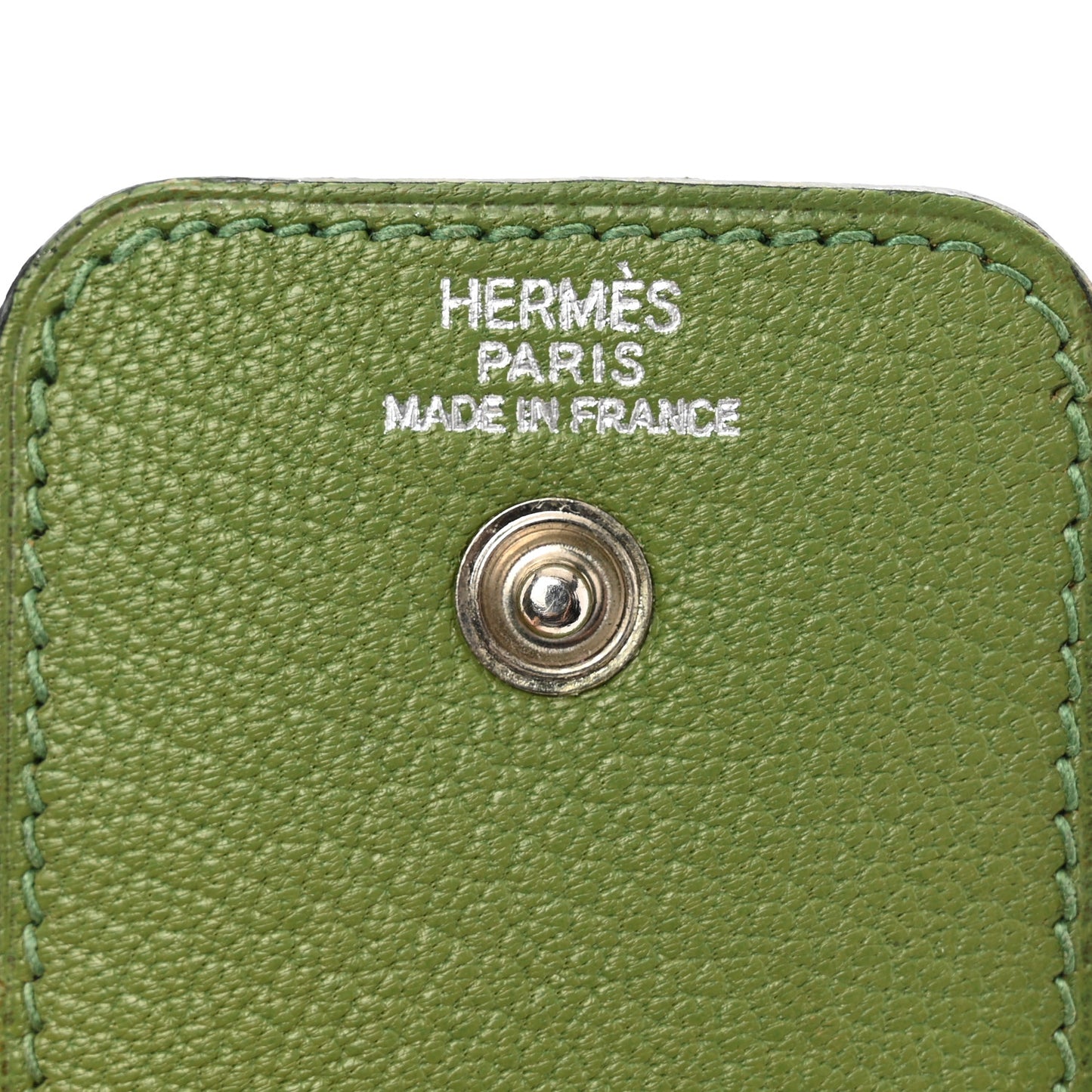 Chevre Mysore Pen Case Vert Anis