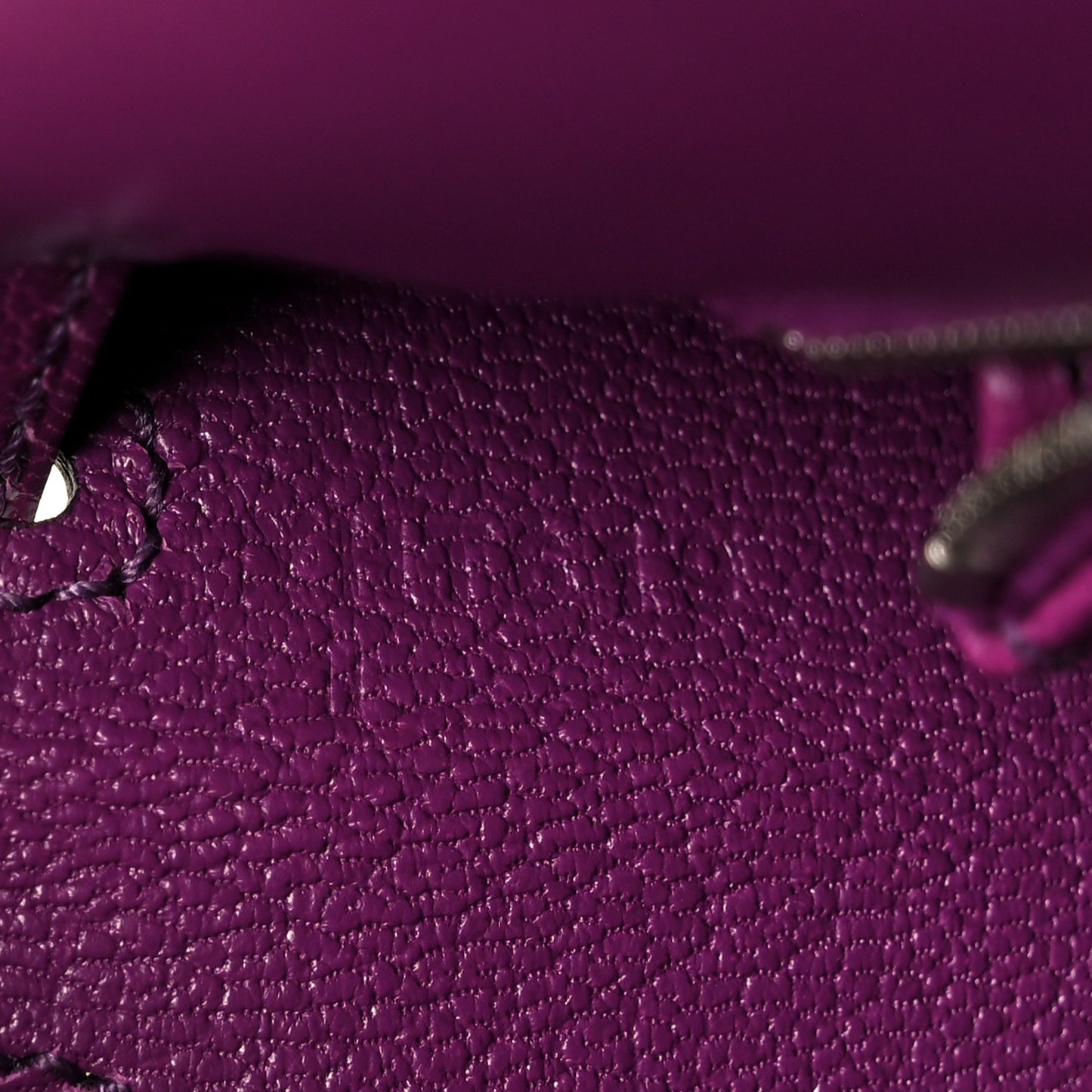 Chevre Chamkila Kelly Sellier 25 Anemone