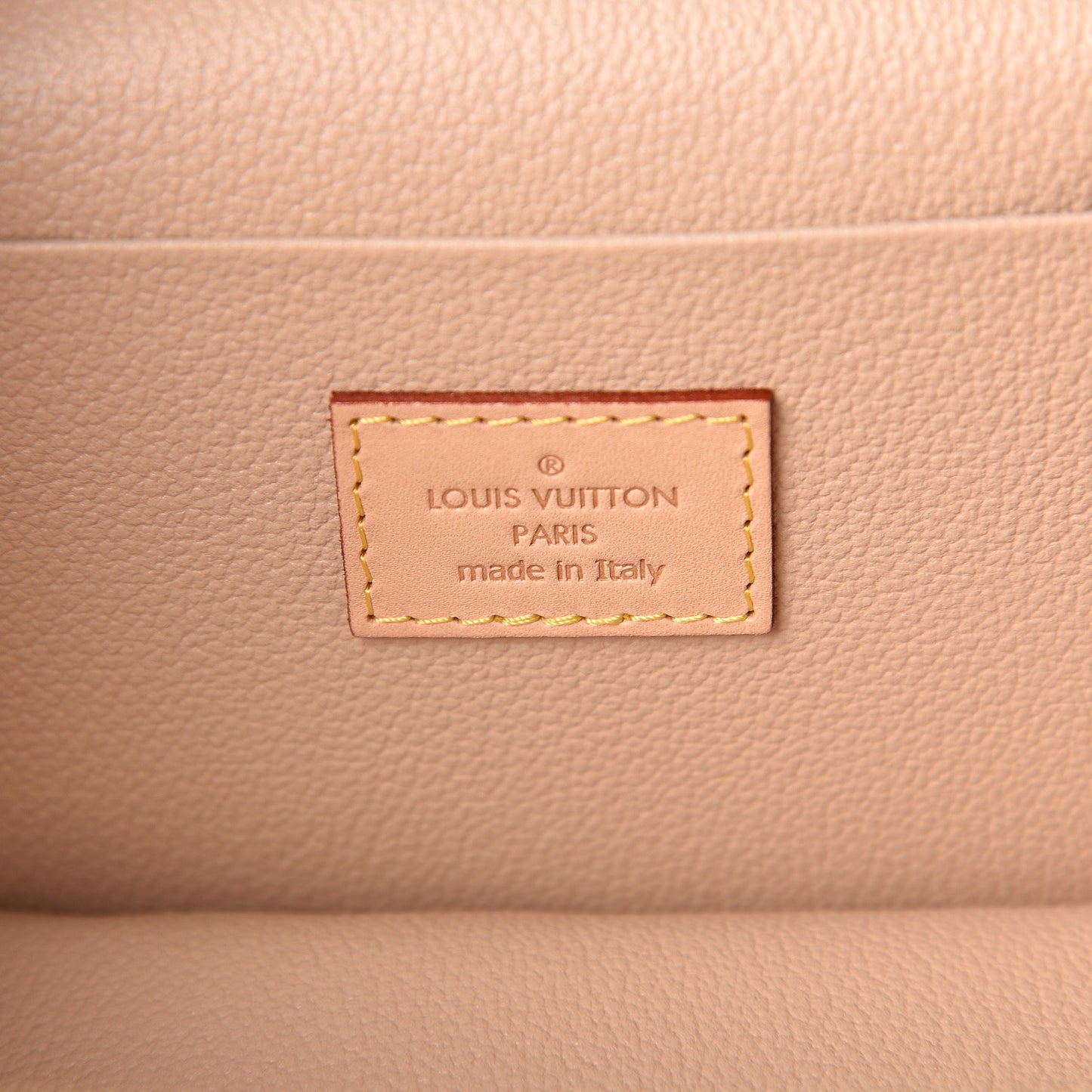 Monogram Nice Mini
