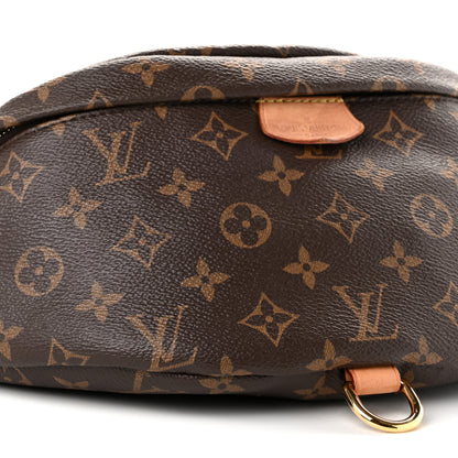 Louis Vuitton Monogram Bumbag 7 of 9