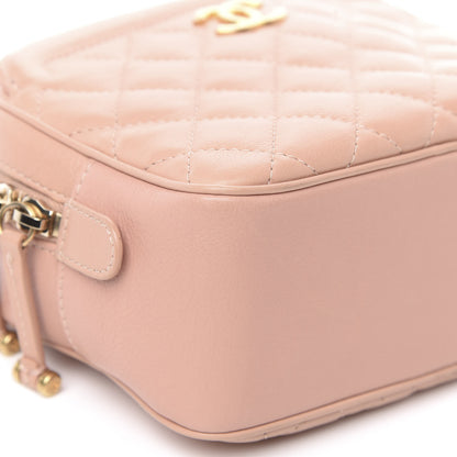 Chanel Calfskin Quilted CC Small Vanity Case Dark Beige 9 of 11