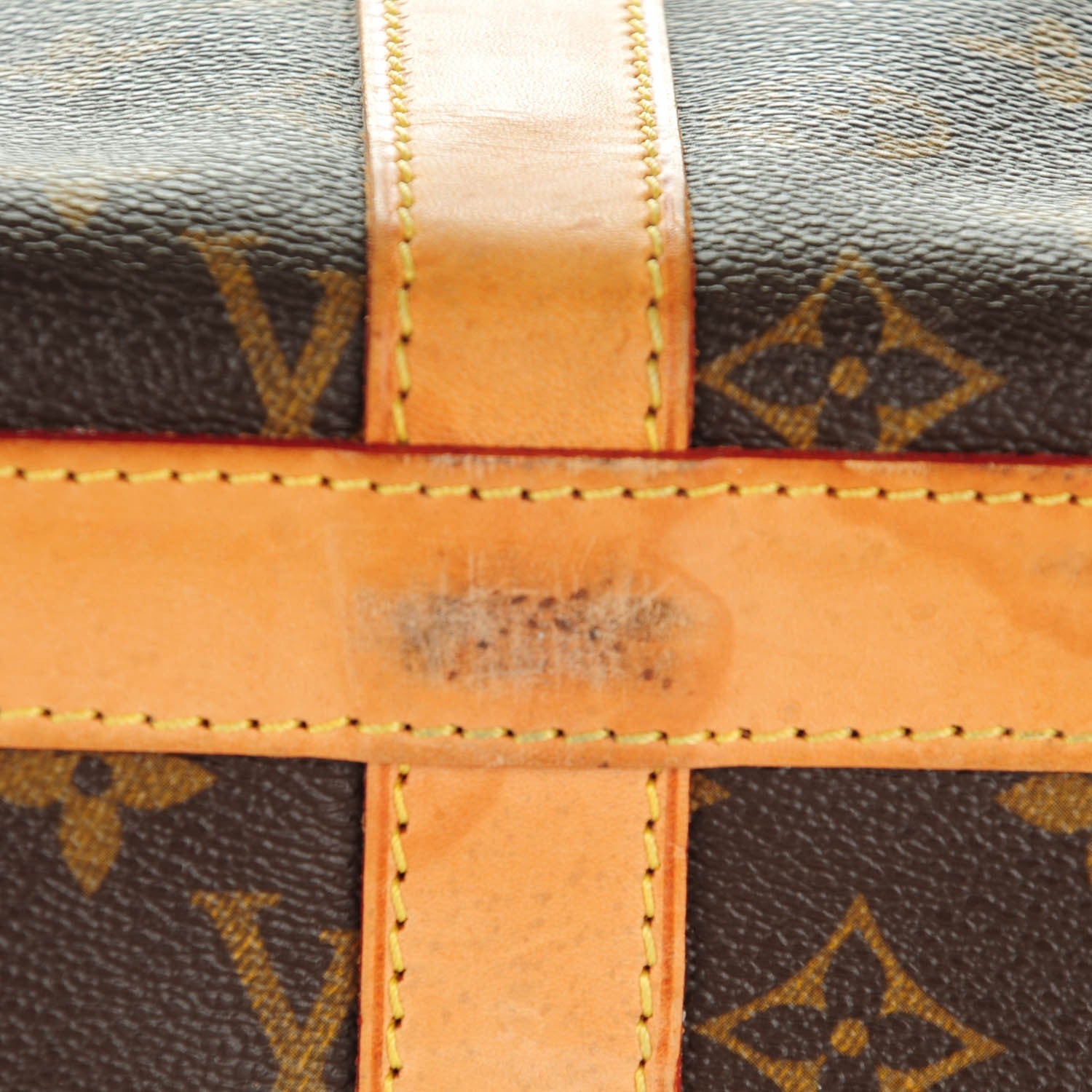 Louis Vuitton Monogram Sac Chien 40 Pet Carrier 10 of 13