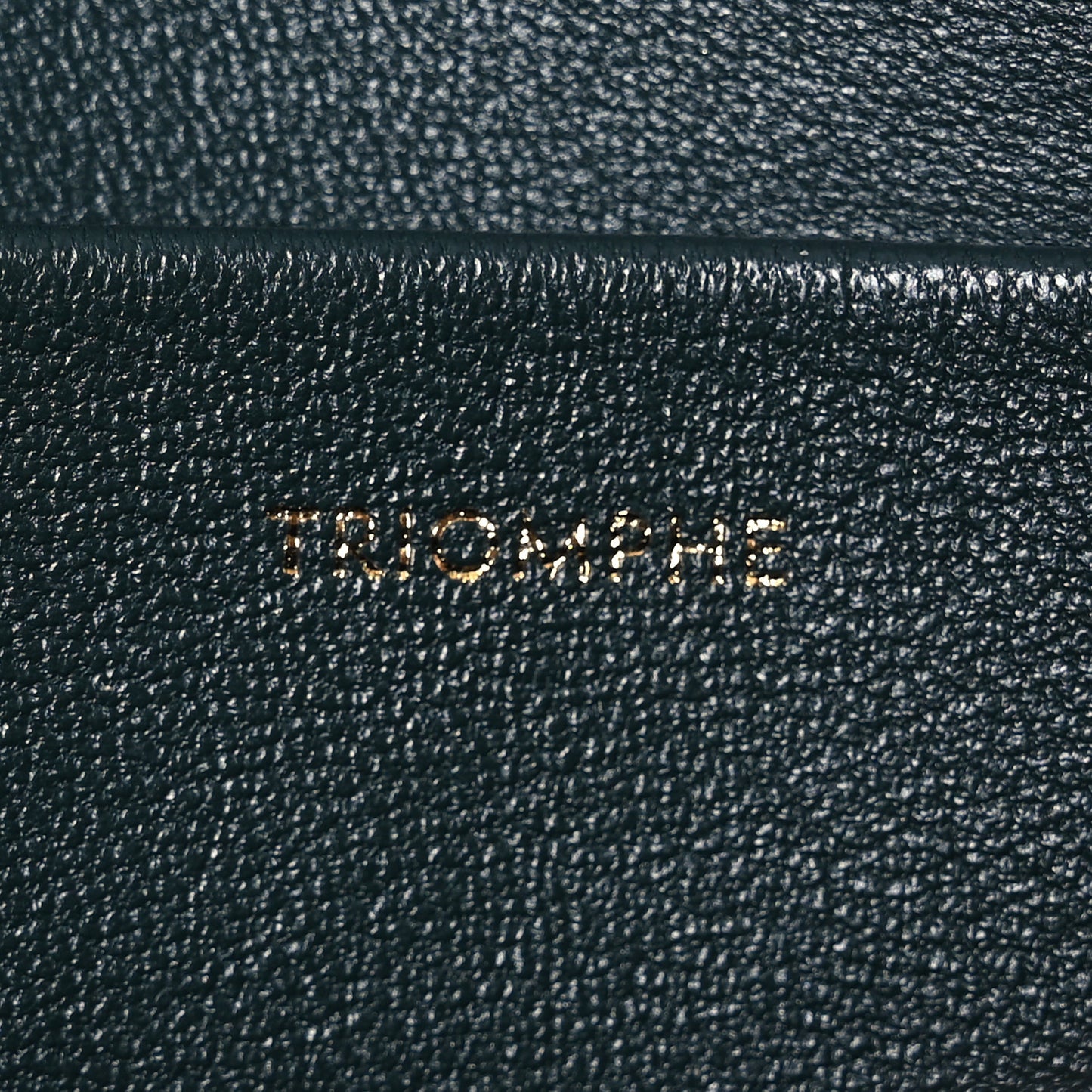 Shiny Calfskin Medium Triomphe Amazone
