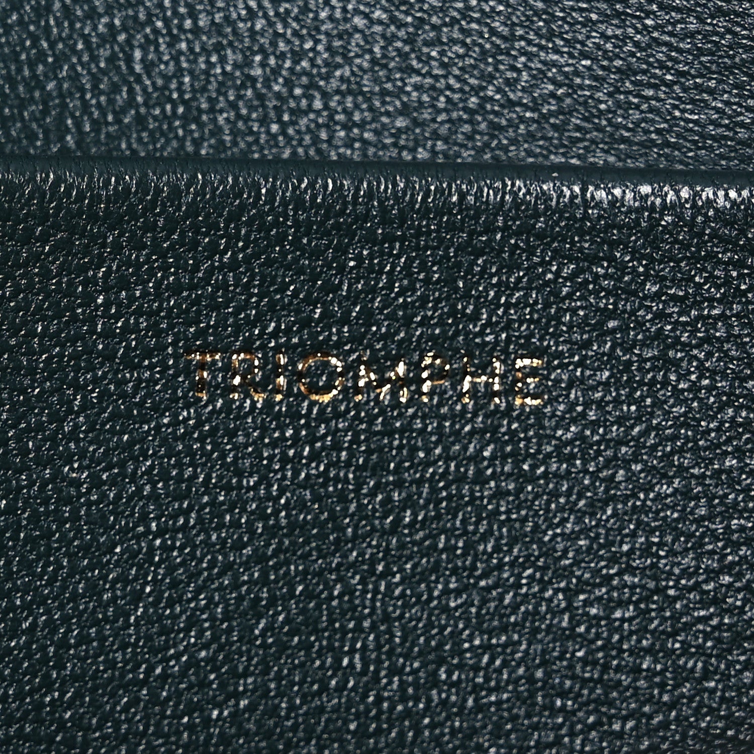 Celine Shiny Calfskin Medium Triomphe Amazone 10 of 18