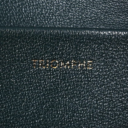 Celine Shiny Calfskin Medium Triomphe Amazone 10 of 18