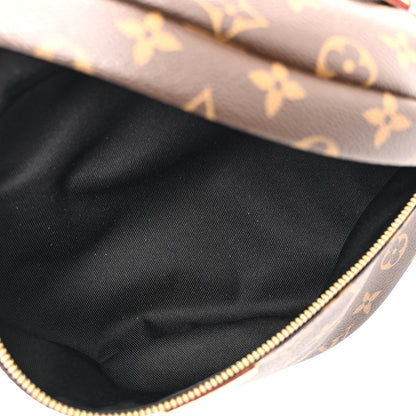 Louis Vuitton Monogram Bumbag 5 of 9