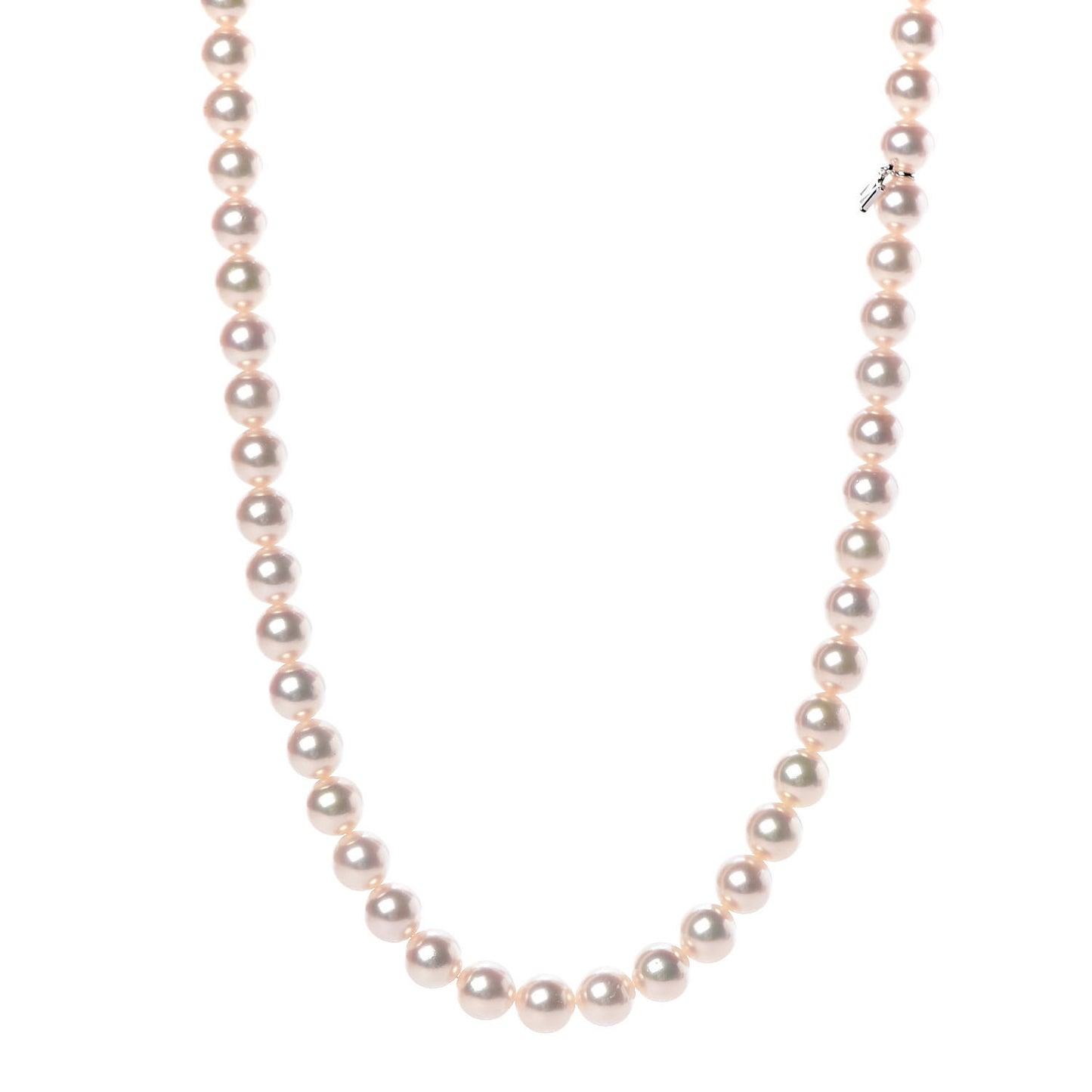18K White Gold Akoya Pearl 7.5-8mm Strand Necklace 19"