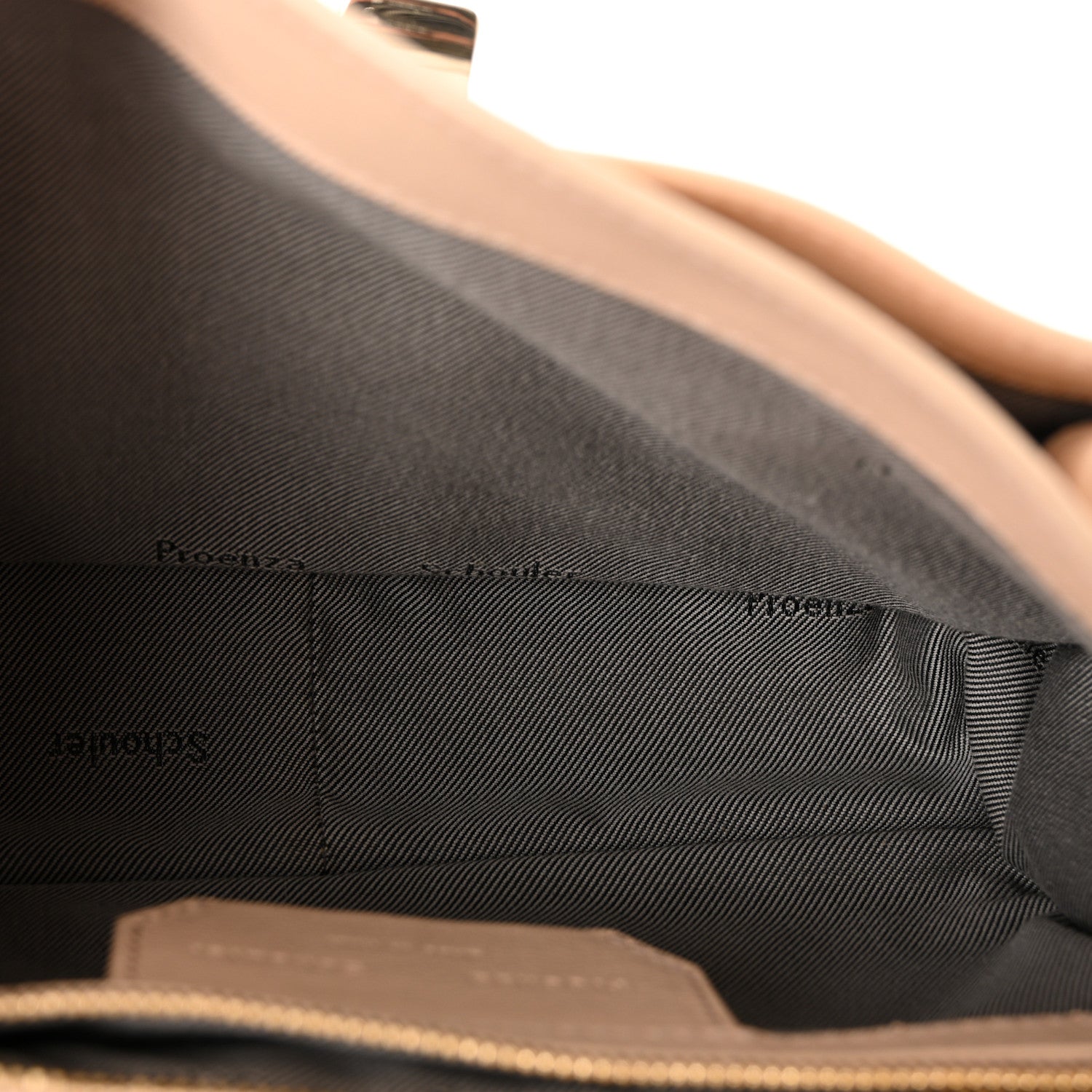 Proenza Schouler Lambskin Tiny PS1 Satchel Nude 5 of 9