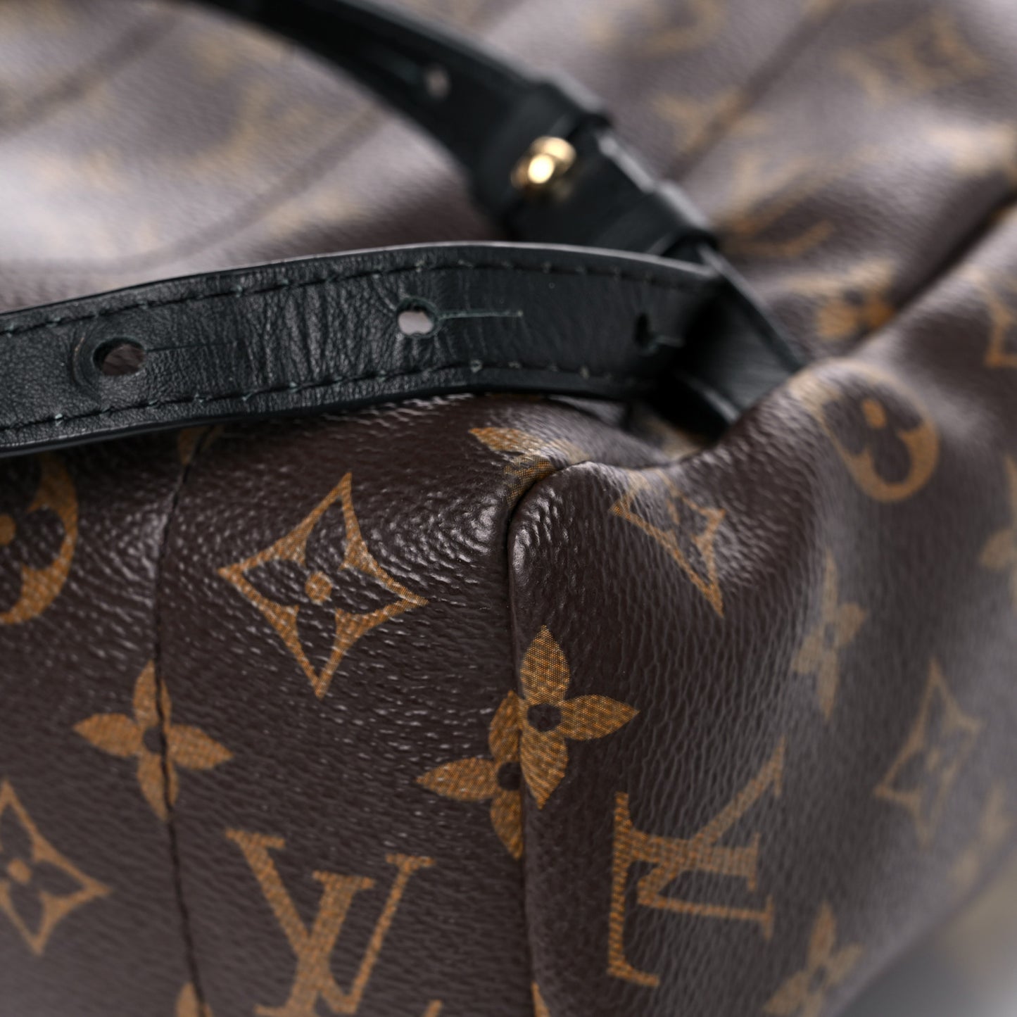 Monogram Palm Springs Backpack MM