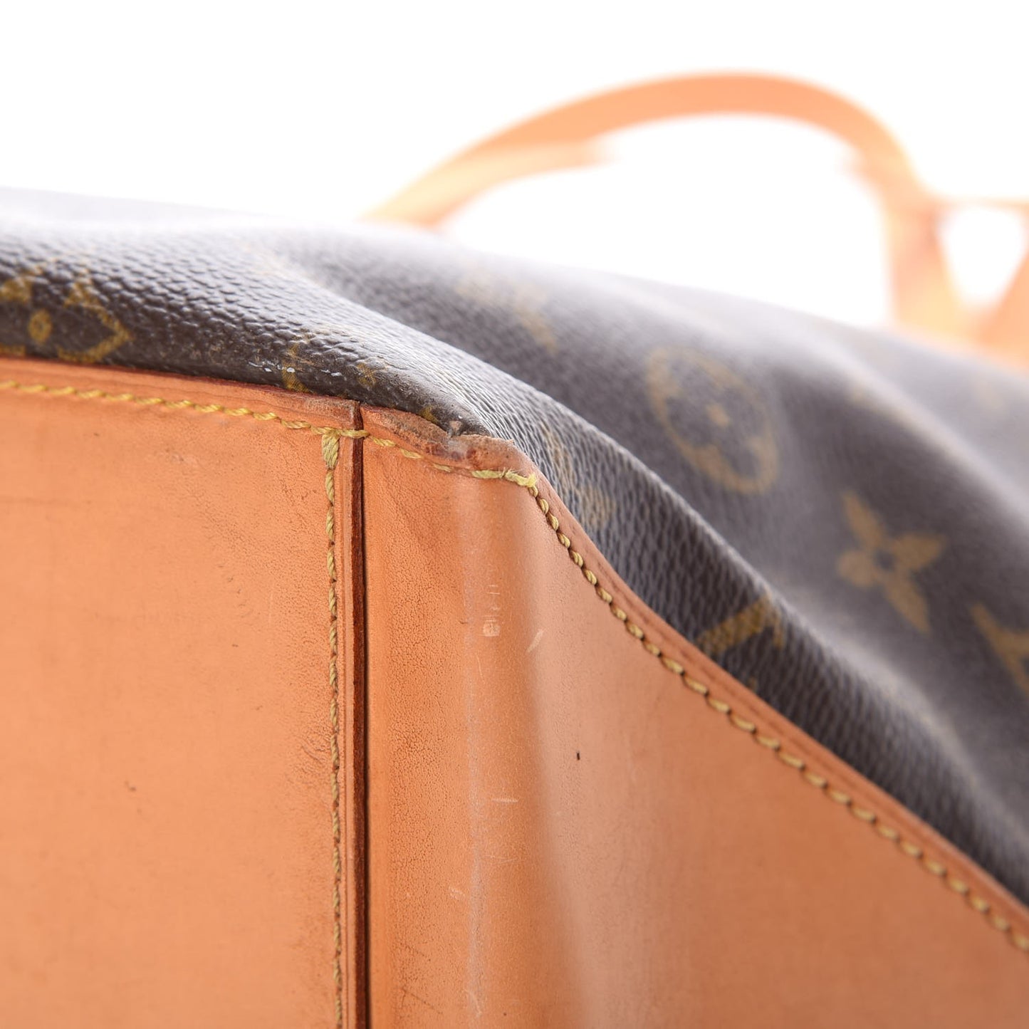Monogram Cabas Mezzo