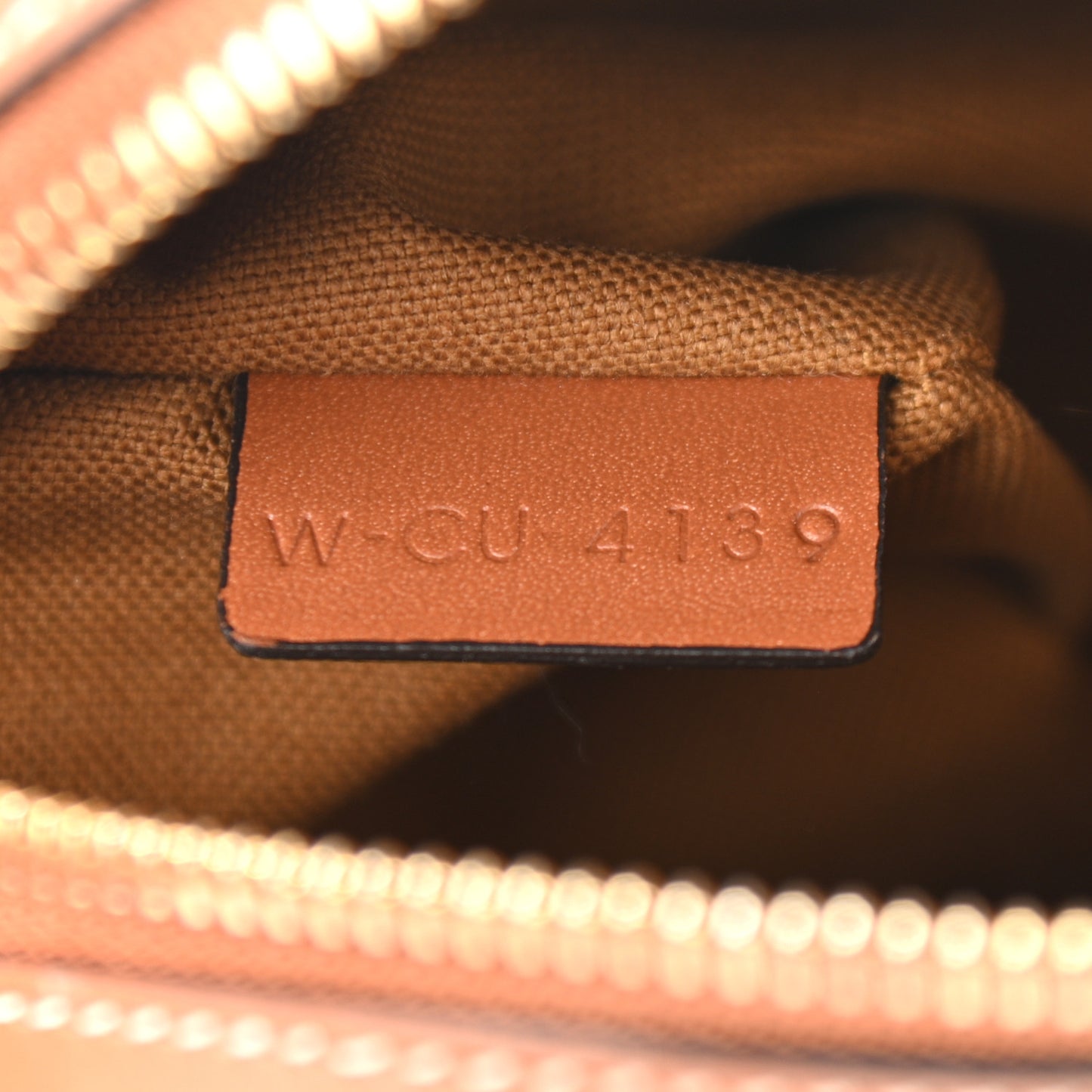 Triomphe Canvas Small Camera Bag Tan