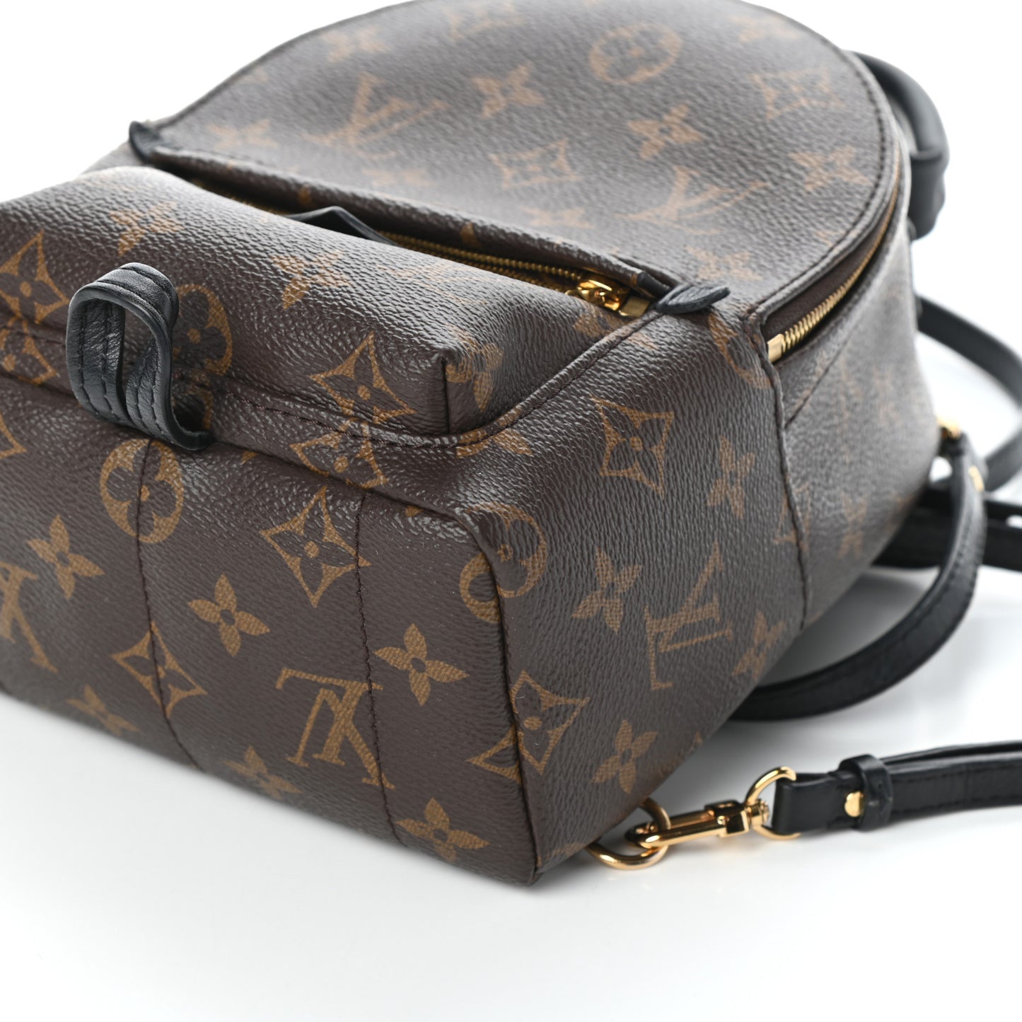 Monogram Palm Springs Backpack Mini