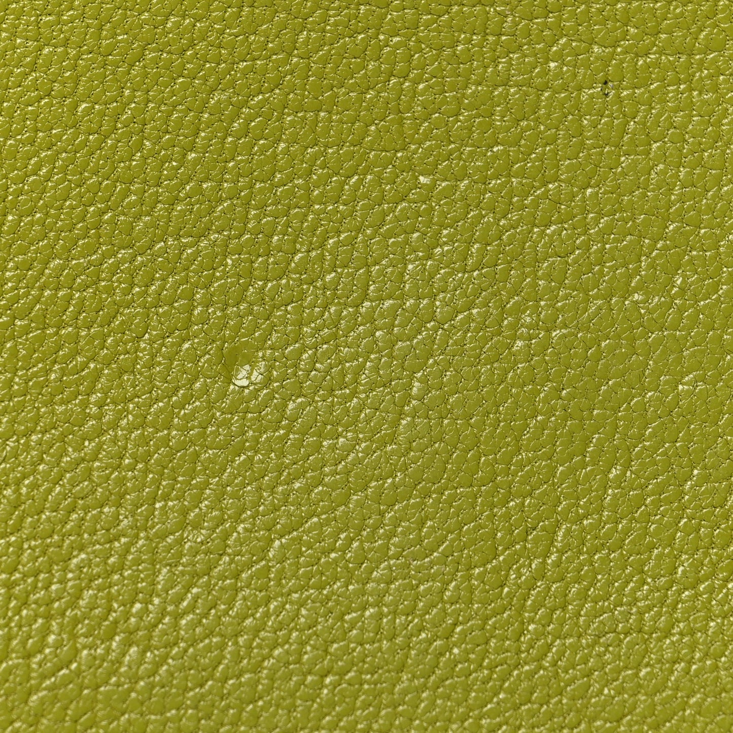 Chevre Mysore Calvi Card Case Vert Anis