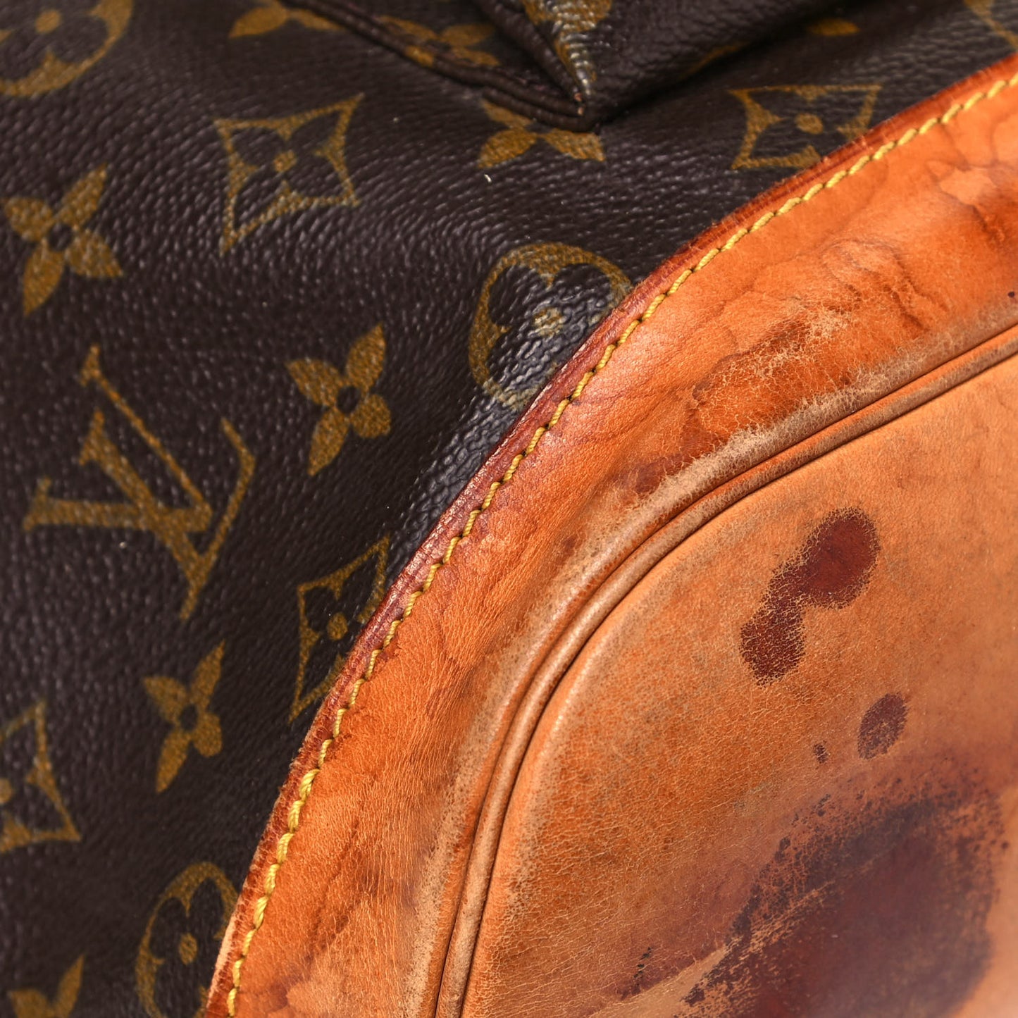 Monogram Montsouris GM Backpack
