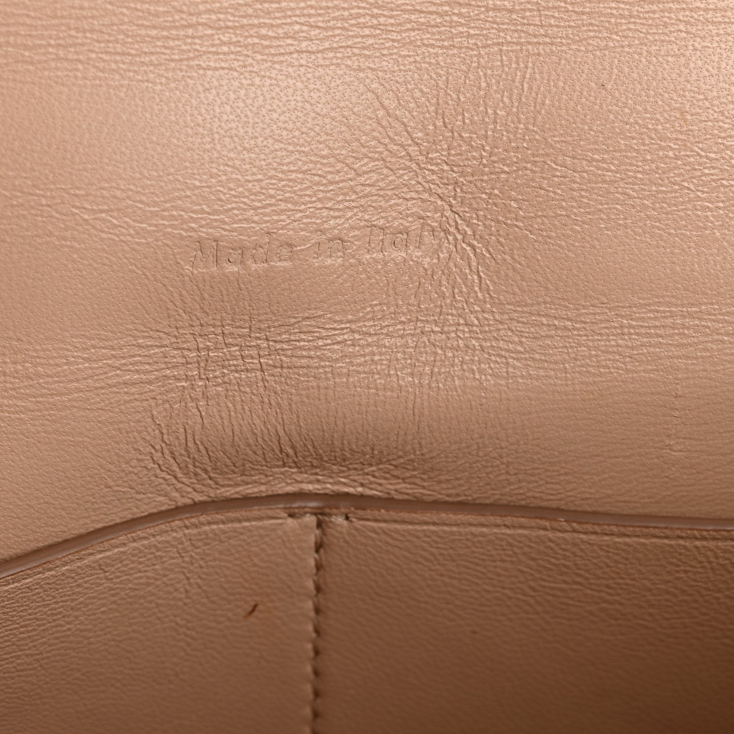 Grained Calfskin Medium Trotteur  Powder