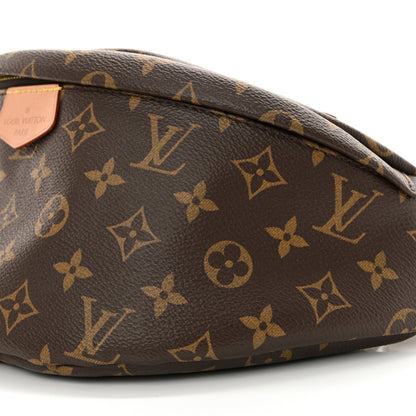 Louis Vuitton Monogram Bumbag 9 of 10