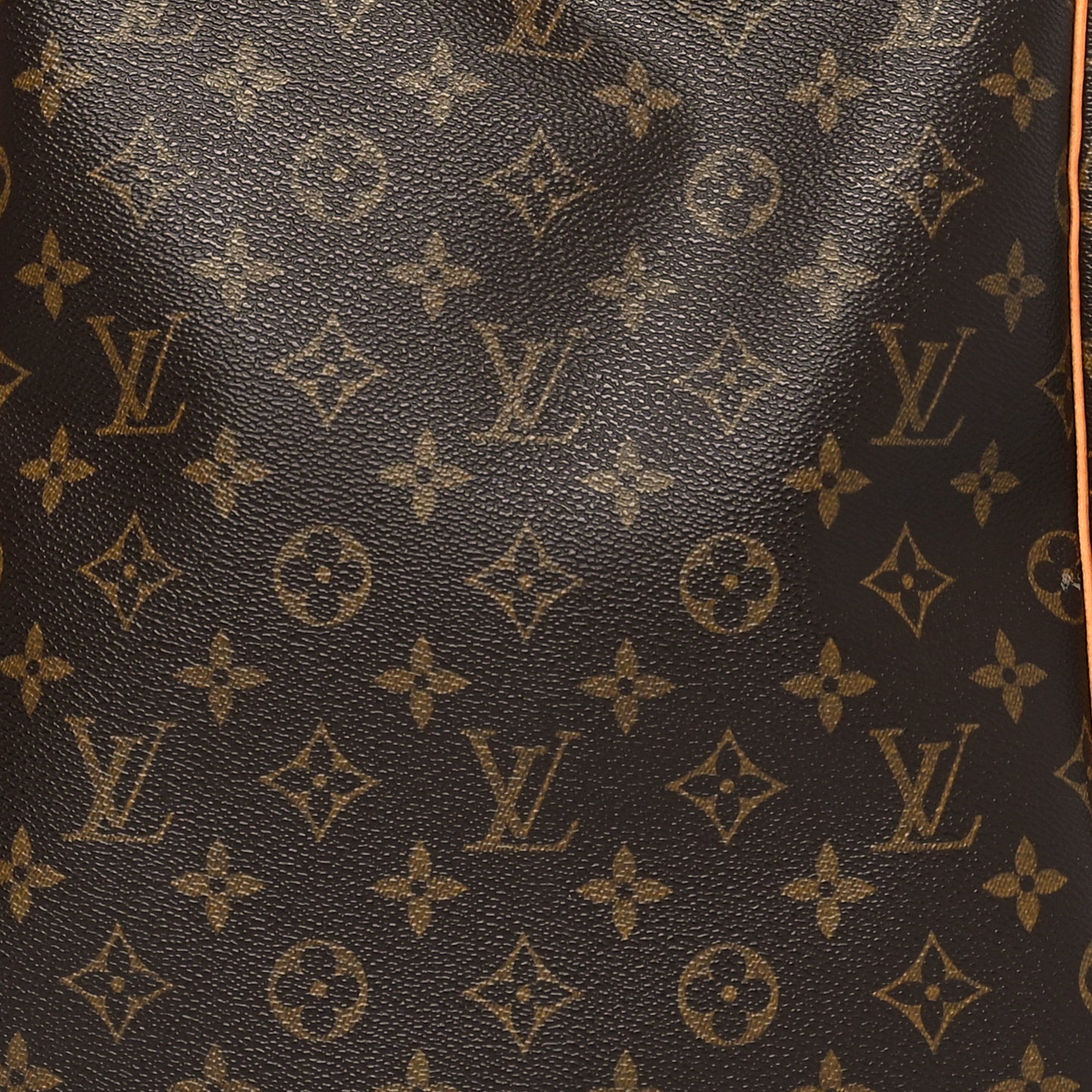 Monogram Excursion Shoe Bag
