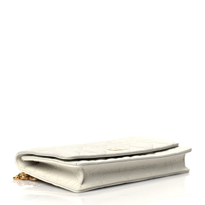 Christian Dior Supple Calfskin Caro Belt Bag Latte 4 of 11