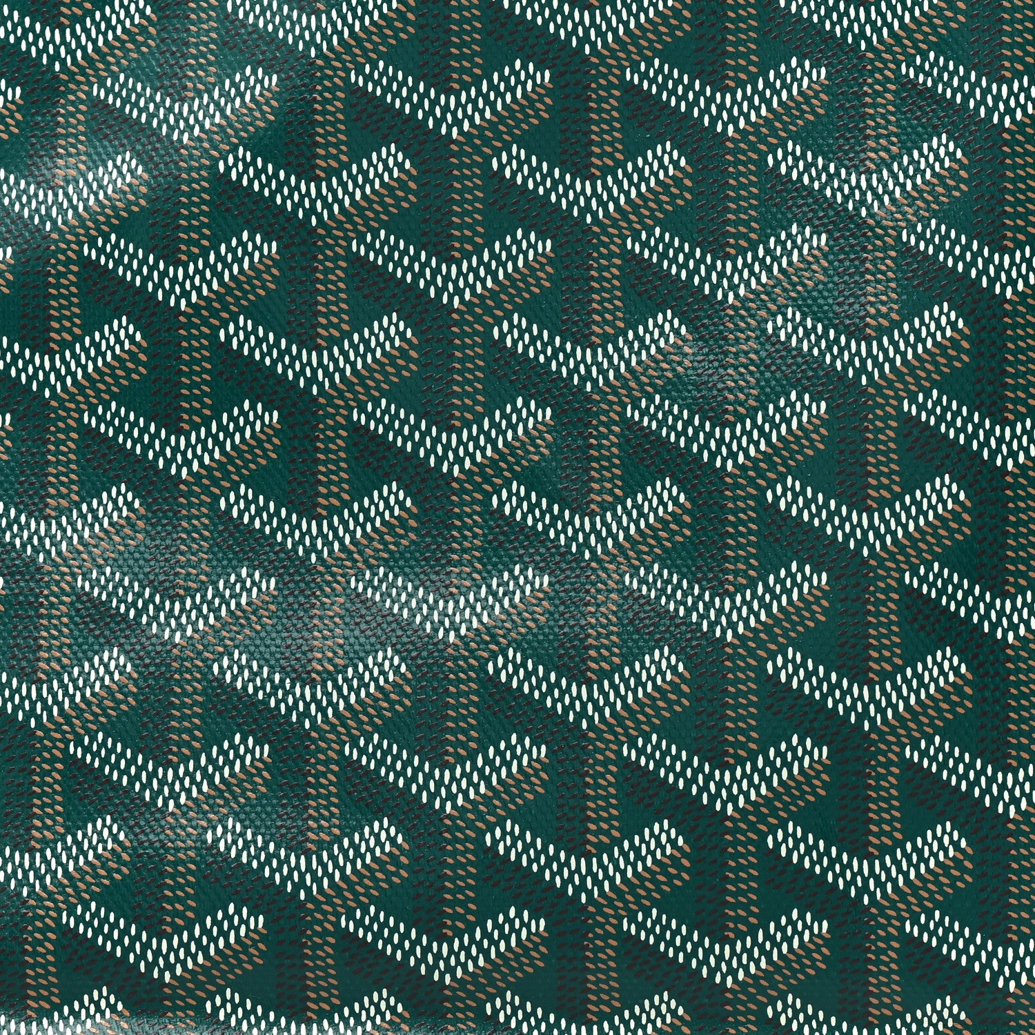 Goyard Goyardine Saint Louis PM Green 10 of 12