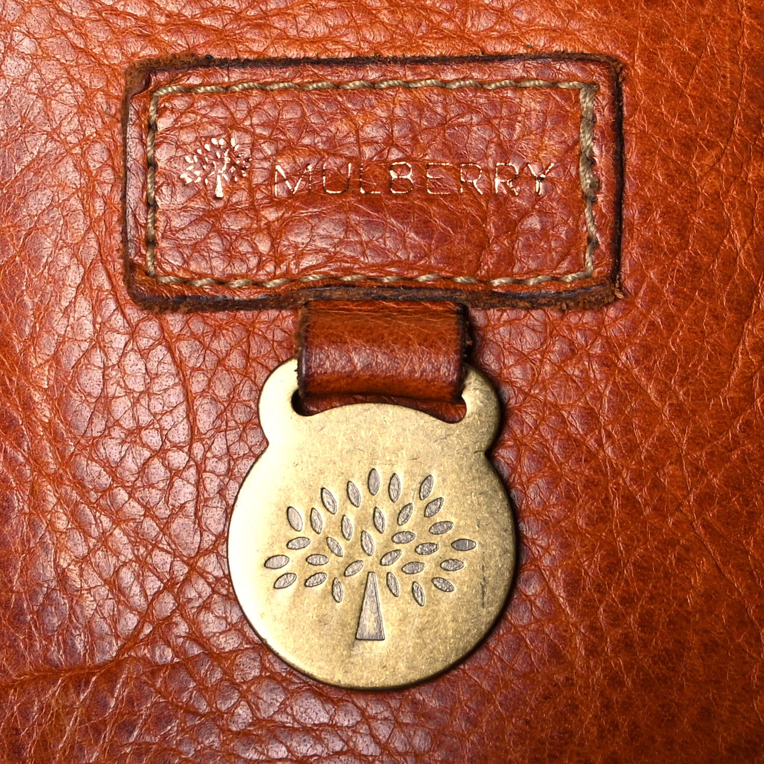 Mulberry Grained Calfskin Tooled Darwin Bayswater Oak 6 of 25