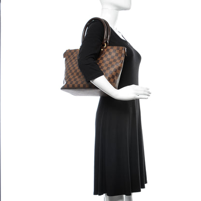 Louis Vuitton Damier Ebene Saleya PM 3 of 14