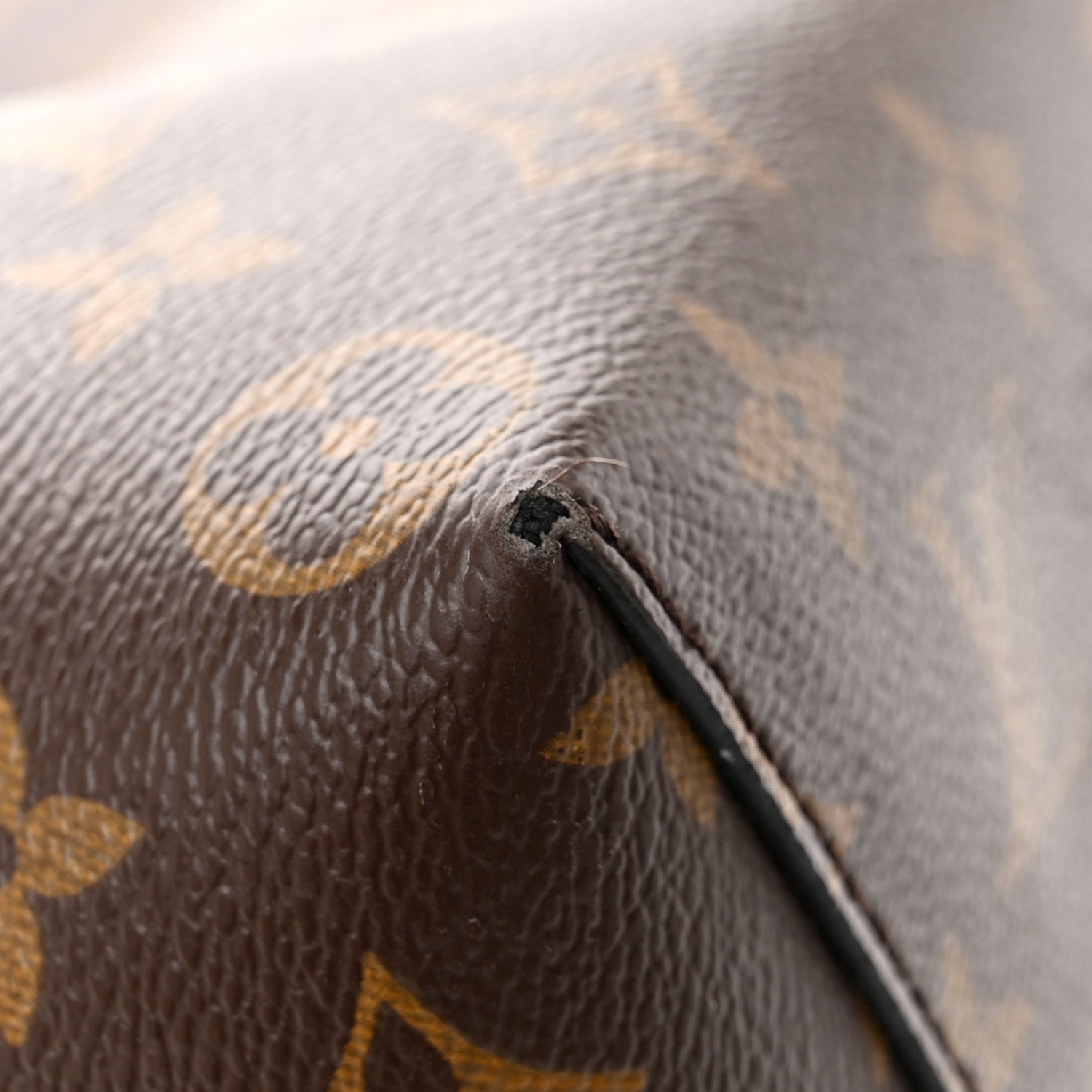Louis Vuitton Monogram Flower Hobo Beige 12 of 16