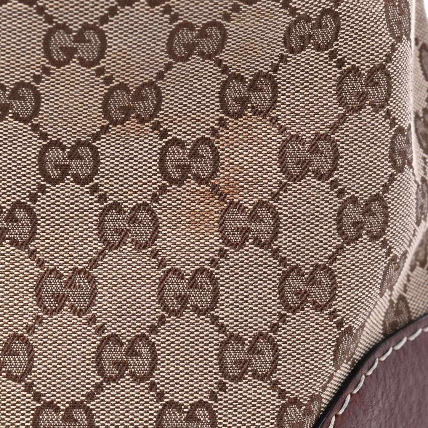 Monogram Medium Charlotte Hobo Brown