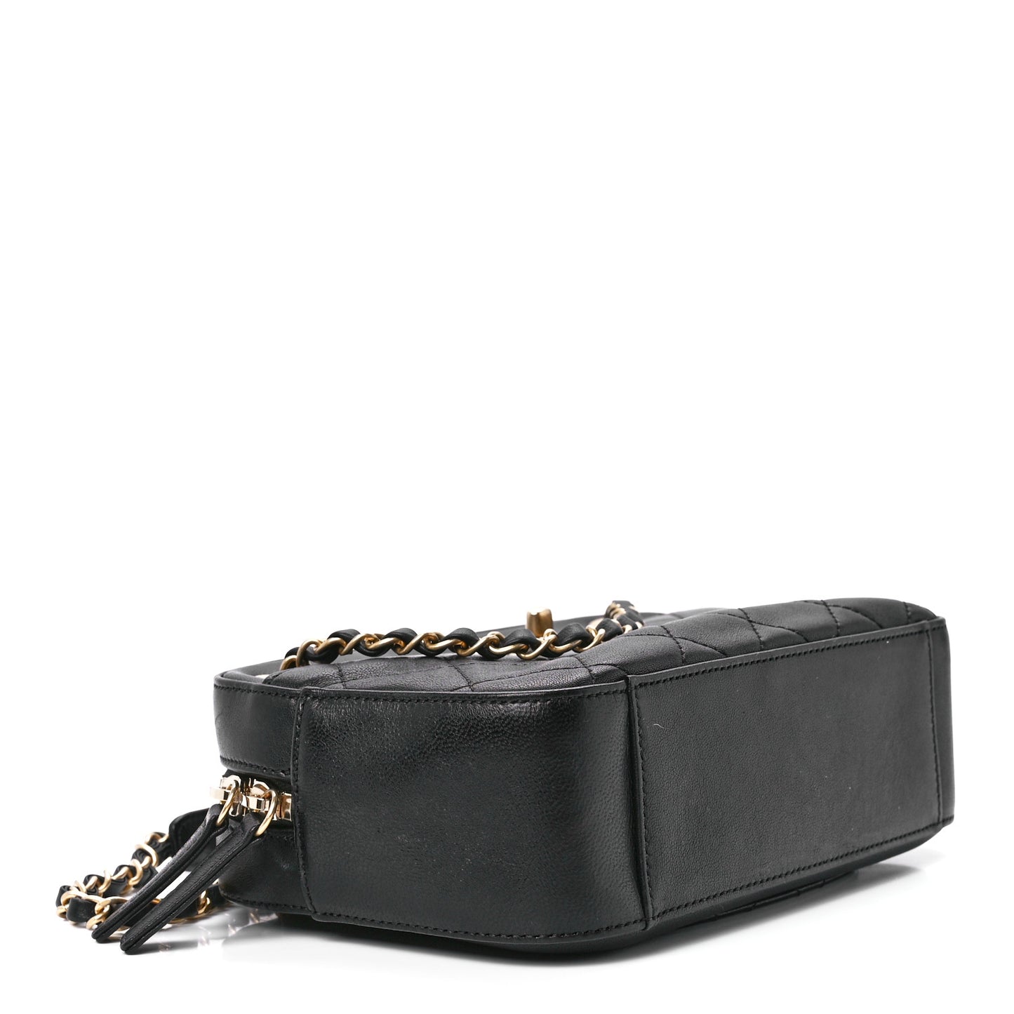 Goatskin Quilted Chanel 19 Camera Case Black