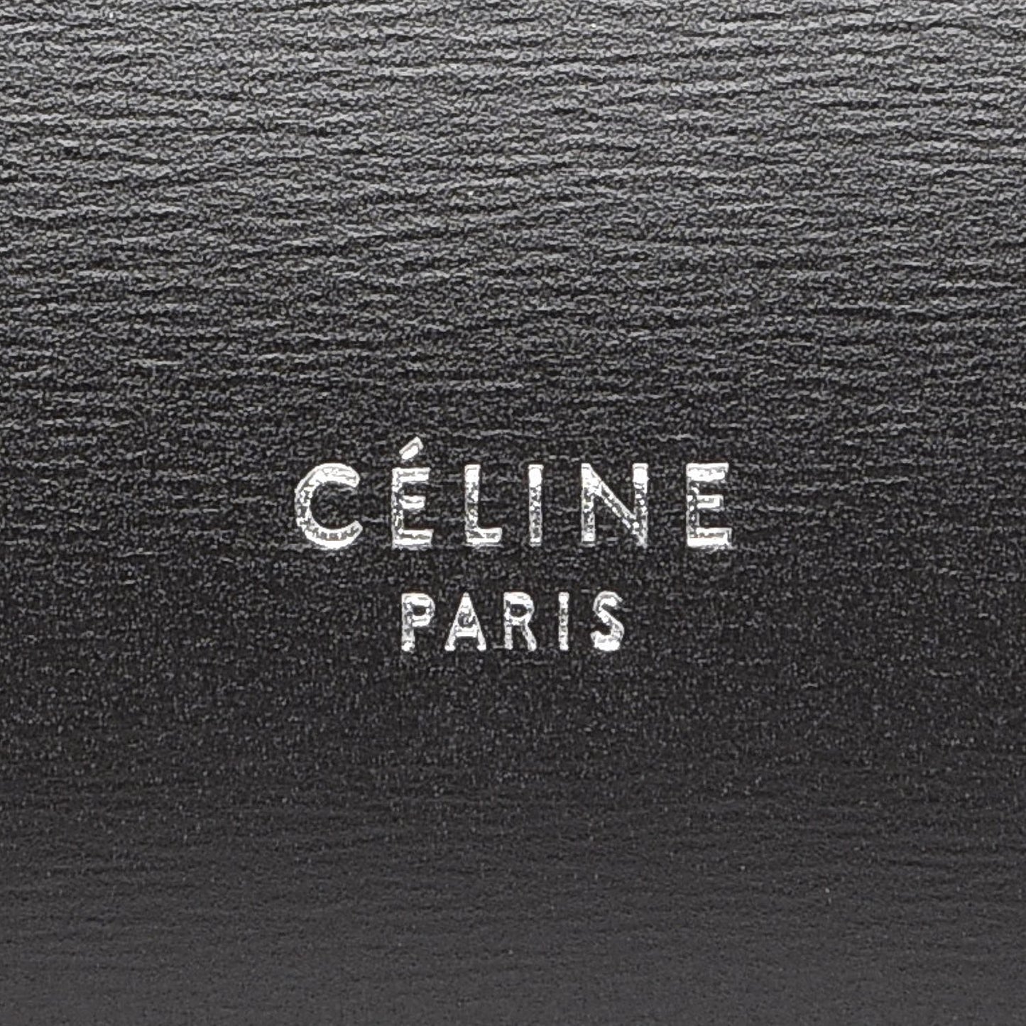 Palmelato Calfskin Mini Belt Bag Espresso
